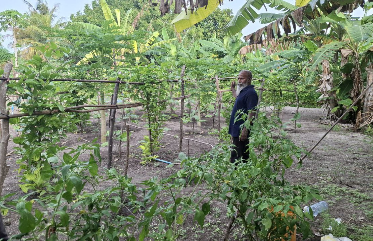 އަލީ އަބްދުރަހްމާން --- ފޮޓޯ: އަހްމަދު އަރުޝަމް | މިހާރު