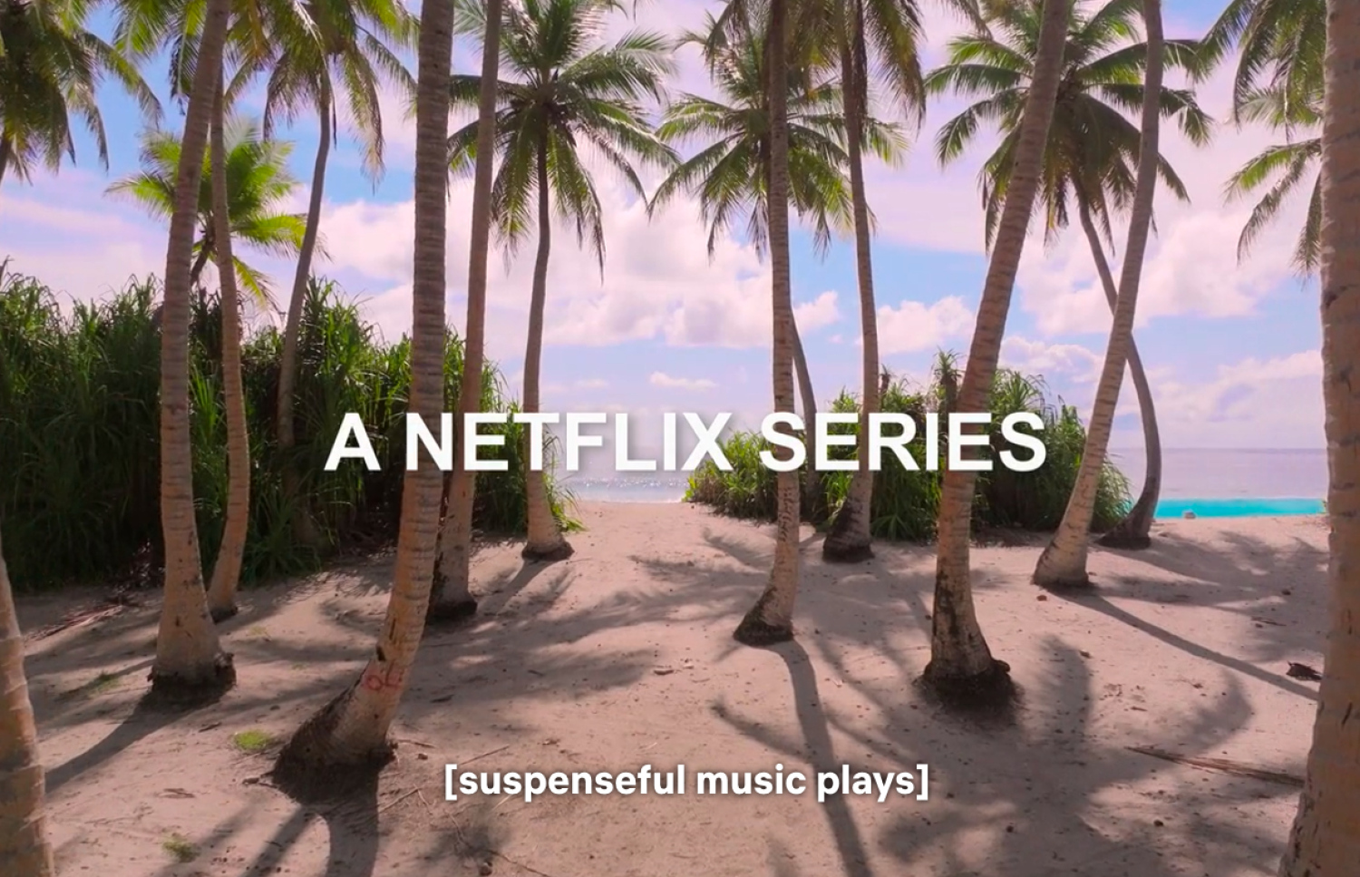 ނެޓްފްލިކްސްގެ "އޯލް ދަ ޝާކްސް"ގައި ފުވައްމުލައް.