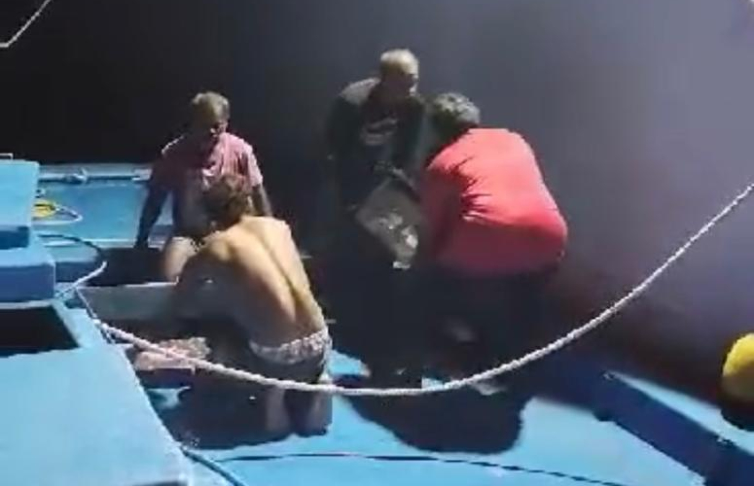 މ. ނާލާފުށި، ވިންދު 1 ދޯނިން ބޭނި މަސްތައް ކަނޑަށް އުކާލަނީ.--