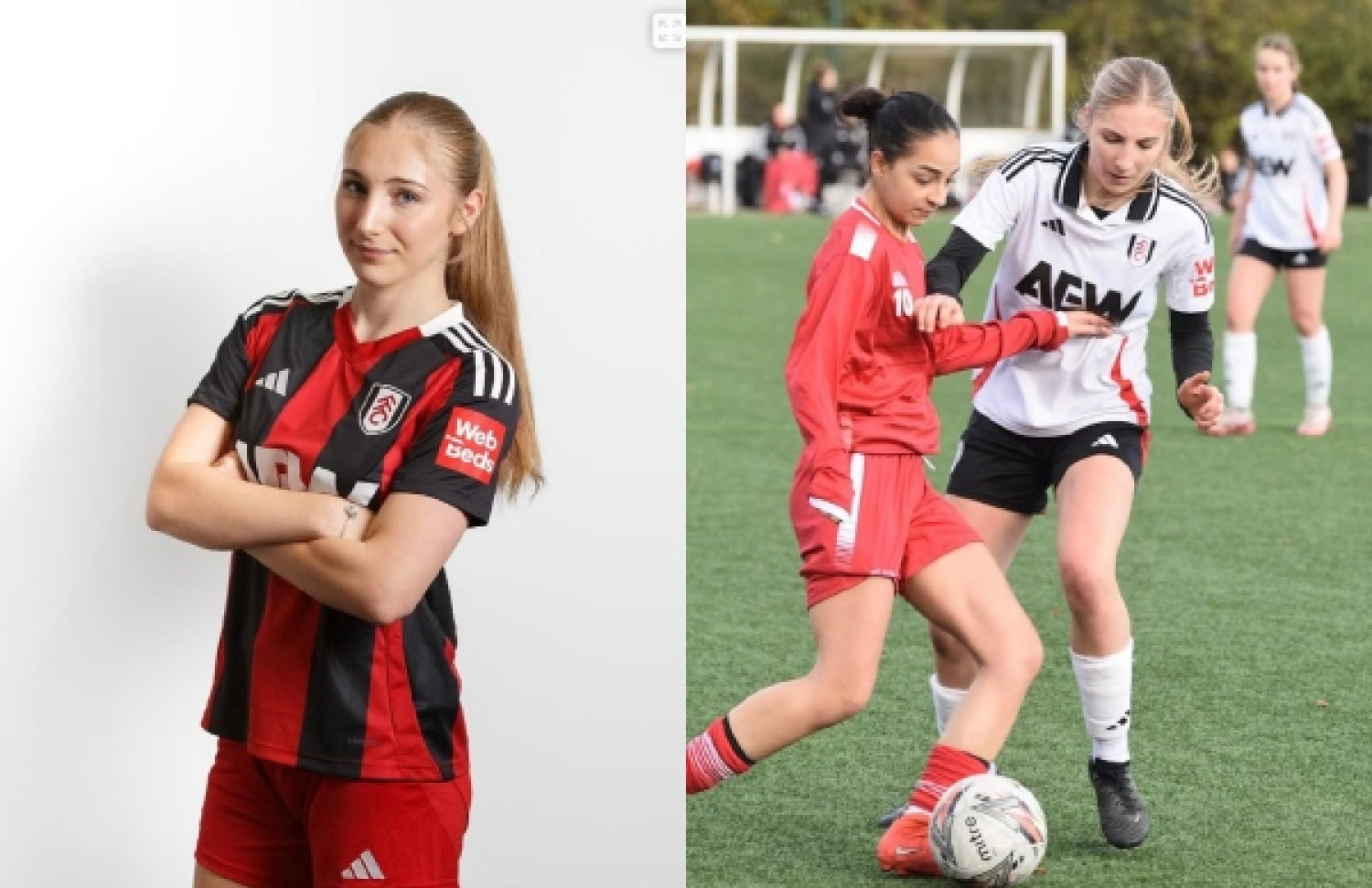 ޗެކުގެ އަންހެން ދަރިފުޅު، އަޑެލާ. އޭނާއަކީ ޑިފެންޑަރެއް.--