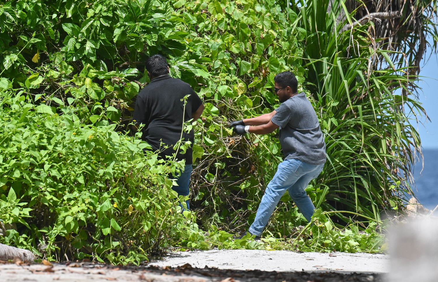 ފުލުހުންގެ ތަހުގީގު ޓީމުގެ މެމްބަރަކު މާޅޮހުގެ ހުރަސް މަގު އަތިރިފަރާތުގެ ވާ ބޮޑު ސަރަހައްދެއް ބަލަނީ.---ފޮޓޯ: ފަޔާޒު މޫސާ | މިހާރު