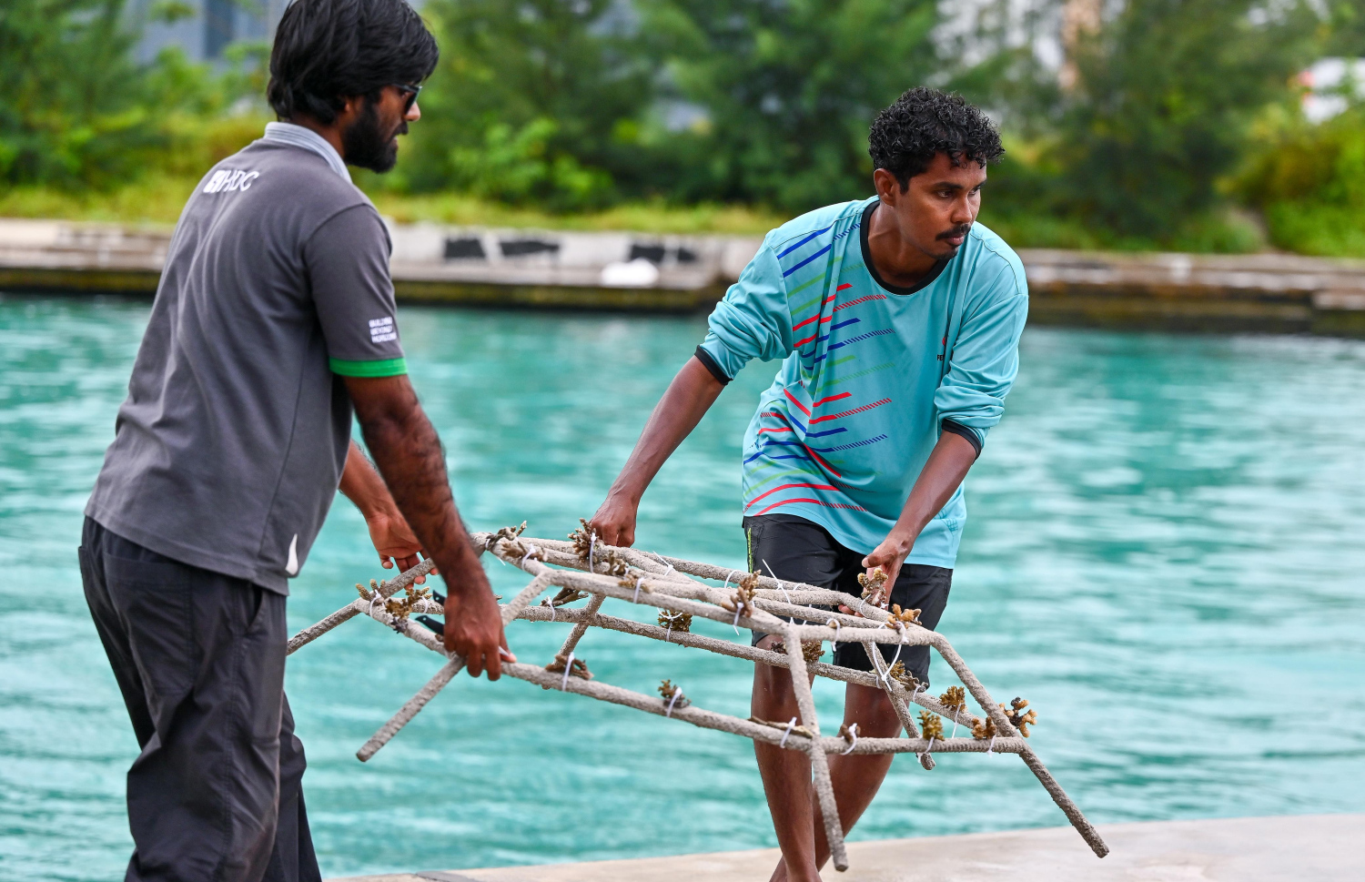 ހުޅުމާލެ ޗެނަލް ޕާކުގައި މުރަކަ އާލާކުރުމަށް "ކޮރަލް ގާޑެން" ޕްރޮޖެކްޓް ފެށުމަށް ބޭއްވި ހަފުލާ.-- ފޮޓޯ: ފަޔާޒް މޫސާ | މިހާރު