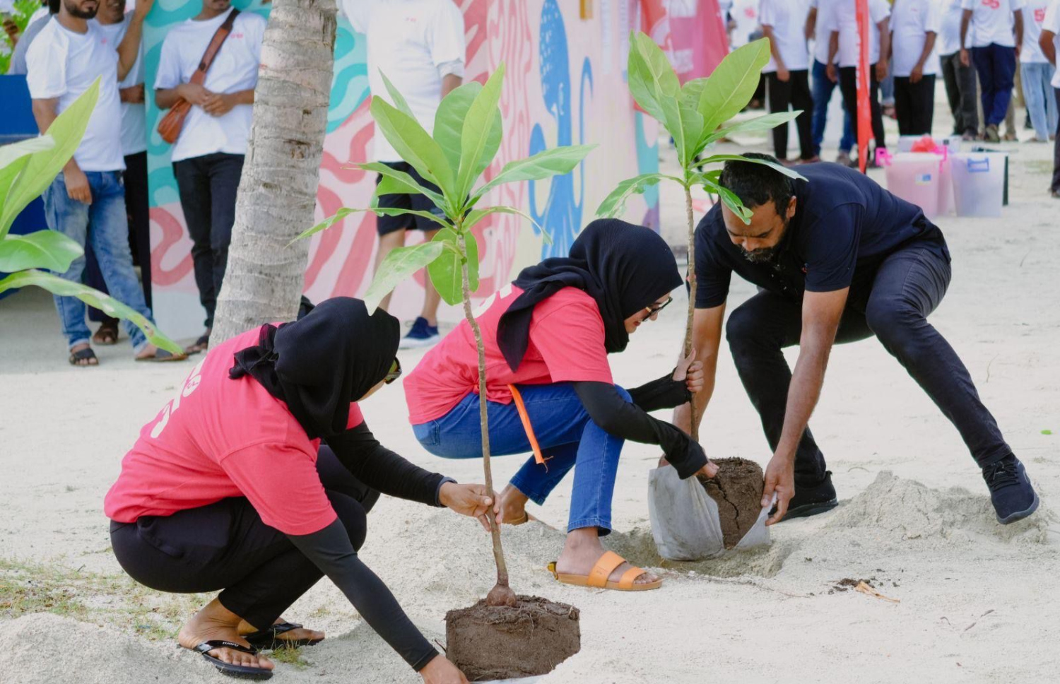 ސޮނީގެ މުވައްޒަފުންގެ ގަސް އިންދަނީ --- ފޮޓޯ/ސޮނީ ހާޑްވެއާ