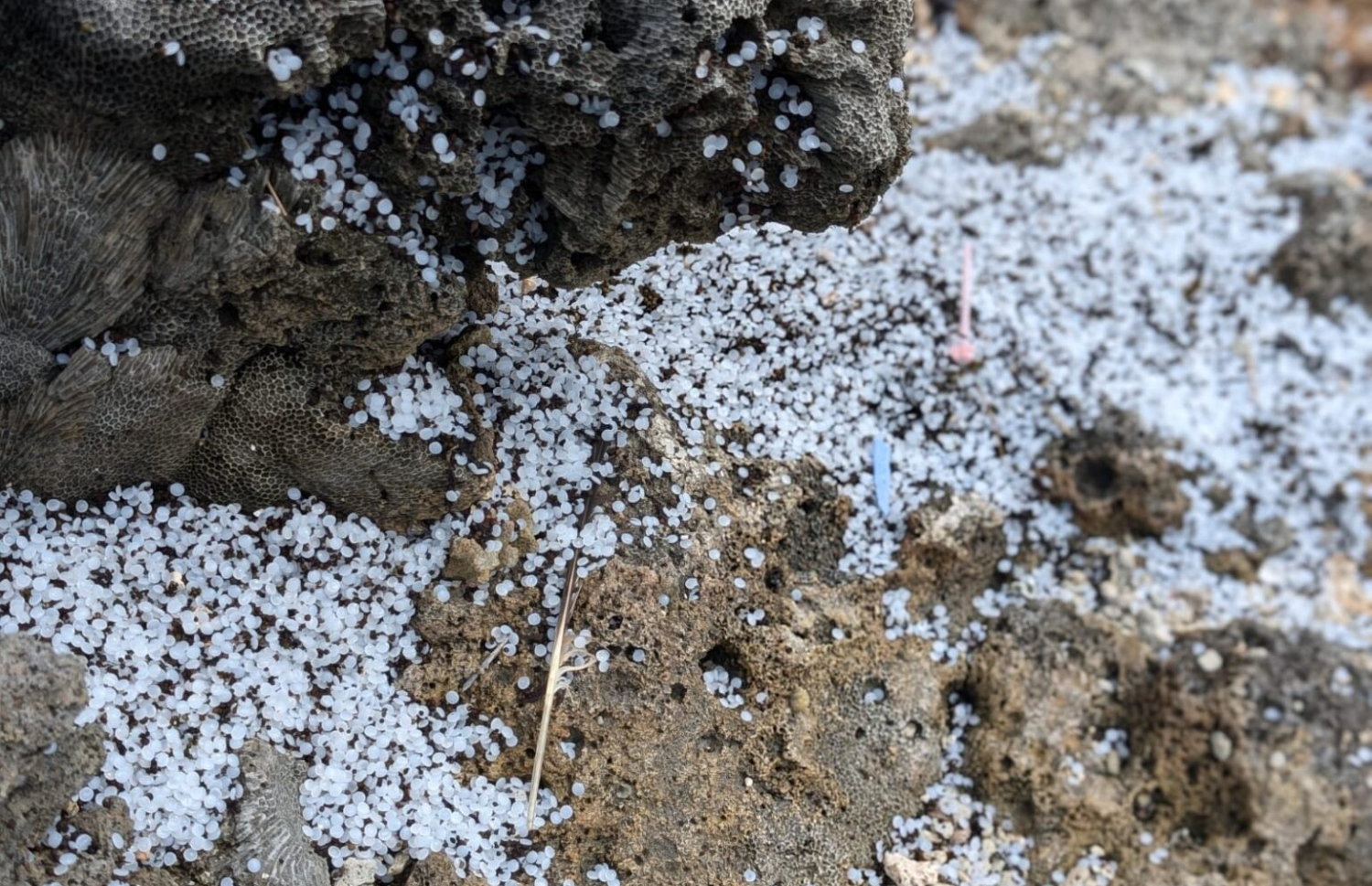 އެމްވީ އެކްސް-ޕްރެސް ޕާލްގައި ރޯވެ އަޑިއަށް ދިއުމުގެ ސަބަބުން ލަންކާގެ ގޮނޑުދޮށަށް ލެއްގި ޕްލާސްޓިކްތައް