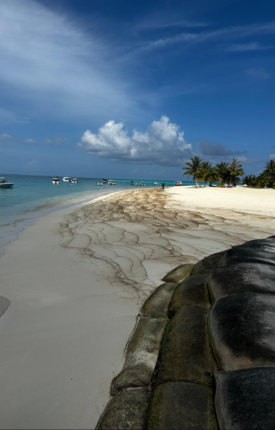 ވ. ފުލިދޫ ގޮނޑުދޮށަށް ތެޔޮ ލައްގާފައި.