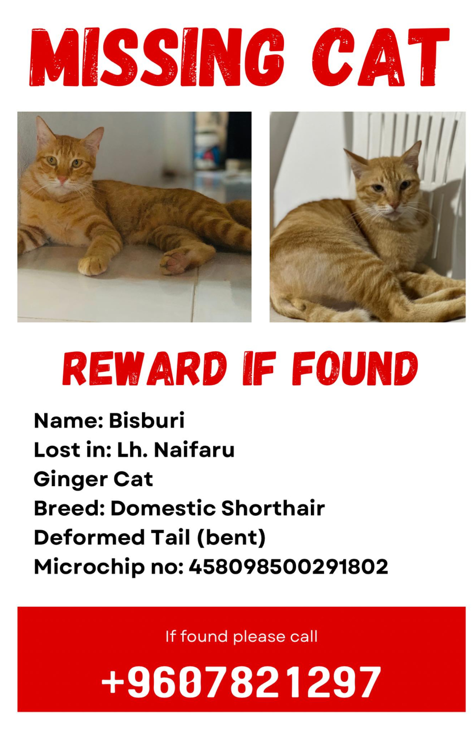 ބުޅާ ގެއްލިގެން ހޯދުމަށް ހަދާފައިވާ ޕޯސްޓަރެއް.