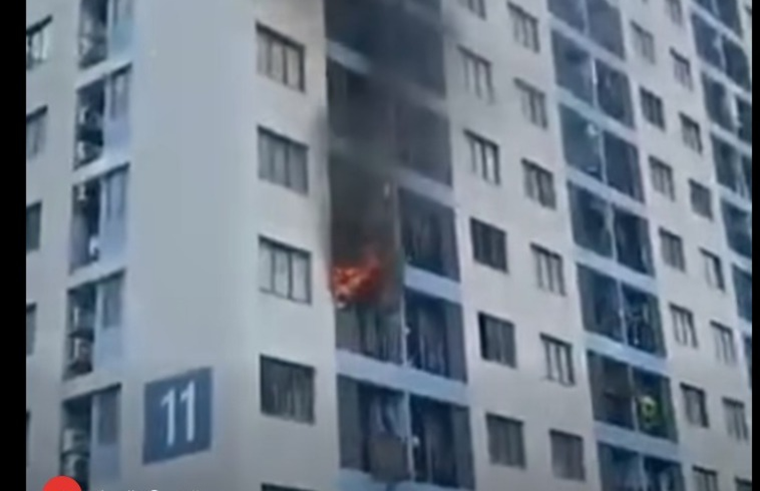 ހިޔާ ފްލެޓެއްގެ ބެލްކަނީގައި ރޯވެފައި: ސިނގިރޭޓު ބޮއިފައި އޭގެ ފިލްޓަރު އުކުމުން ހިނގާ އަލިފާނުގެ ހާދިސާތައް މި ސަރަހައްދުގައި ގިނަ.