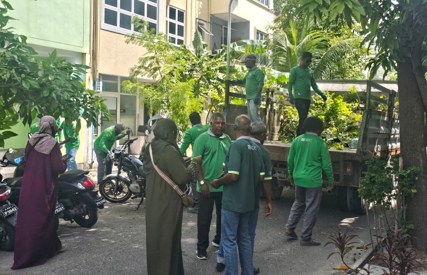 ހުޅުމާލެ ހެޖްތެރެއިން ނަގާ ގަސް ޕާކުތަކުގައި އިންދަނީ-- ފޮޓޯ: އެޗްޑީސީ