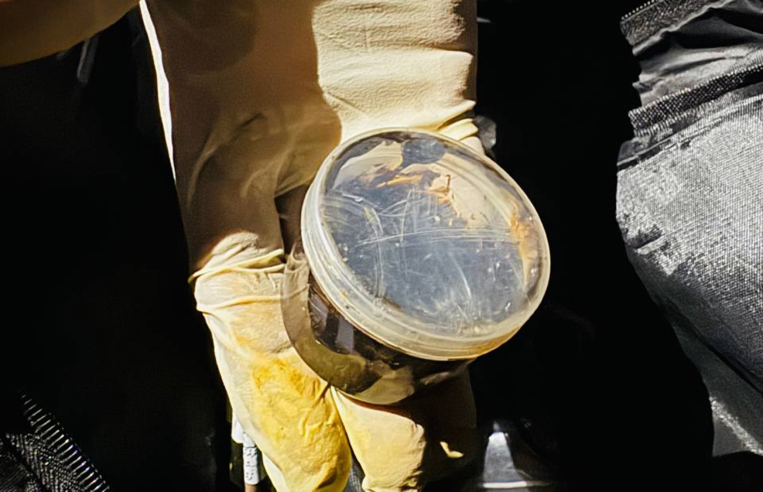 ފުލުހުން މިހާރު ހިންގާ ހާއްސަ އޮޕަރޭޝަންގައި އަތުލައިގަތް މަސްތުވާތަކެތި.---ފޮޓޯ: ޕޮލިސް