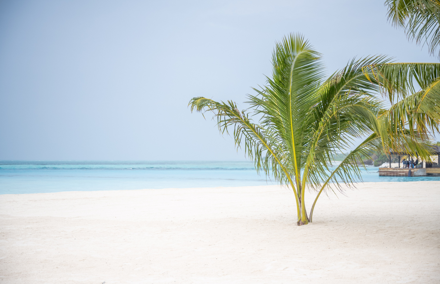 މިއަދު ރަސްމީކޮށް ހުޅުވި ކްރައުން އެންޑް ޗަމްޕާ ރިޒޯޓްސްގެ 11 ވަނަ ރިސޯޓު ނަލަ މޯލްޑިވްސް. މި ރިސޯޓުގައި 80 ވިލާ ހިމެނޭ. އޭގެ ތެރޭގައި ހިމެނެނީ 8 ރޮމޭންޓިކް ވިލާ، 20 ސަންރައިޒް ވިލާ، 22 ސަންސެޓް ވިލާ އަދި 30 އޯވާ ވޯޓާ ވިލާ.---ފޮޓޯ: ނިޝާން އަލީ| މިހާރު