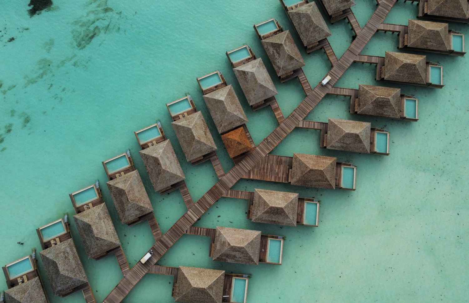 މިއަދު ރަސްމީކޮށް ހުޅުވި ކްރައުން އެންޑް ޗަމްޕާ ރިޒޯޓްސްގެ 11 ވަނަ ރިސޯޓު ނަލަ މޯލްޑިވްސްގެ ބައެއް ވިލާތައް: މި ރިސޯޓުގައި 80 ވިލާ ހިމެނޭ. އޭގެ ތެރޭގައި ހިމެނެނީ 8 ރޮމޭންޓިކް ވިލާ، 20 ސަންރައިޒް ވިލާ، 22 ސަންސެޓް ވިލާ އަދި 30 އޯވާ ވޯޓާ ވިލާ.---ފޮޓޯ: ނިޝާން އަލީ| މިހާރު