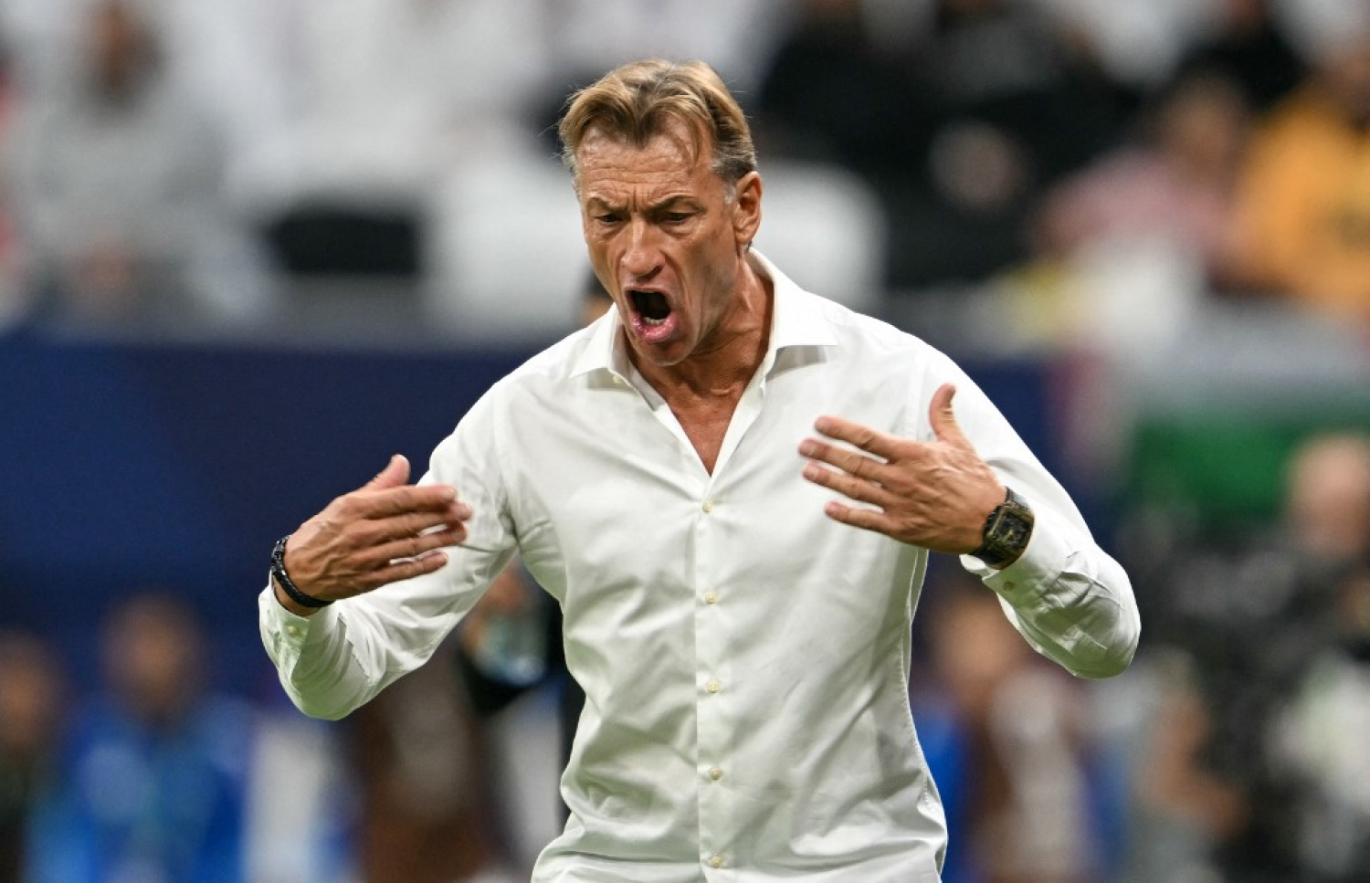 ސައުދީ އަރަބިއްޔާގެ ކޯޗު ހާވޭ ރެނާޑް، އޭނާ ވަނީ މެޗުން ބަލިވި ނަމަވެސް ޖޯޑަން ހޯދި ކާމިޔާބީއަށް މަރުހަބާ  ކިޔައިފަ.-- ފޮޓޯ: އޭއެފްޕީ