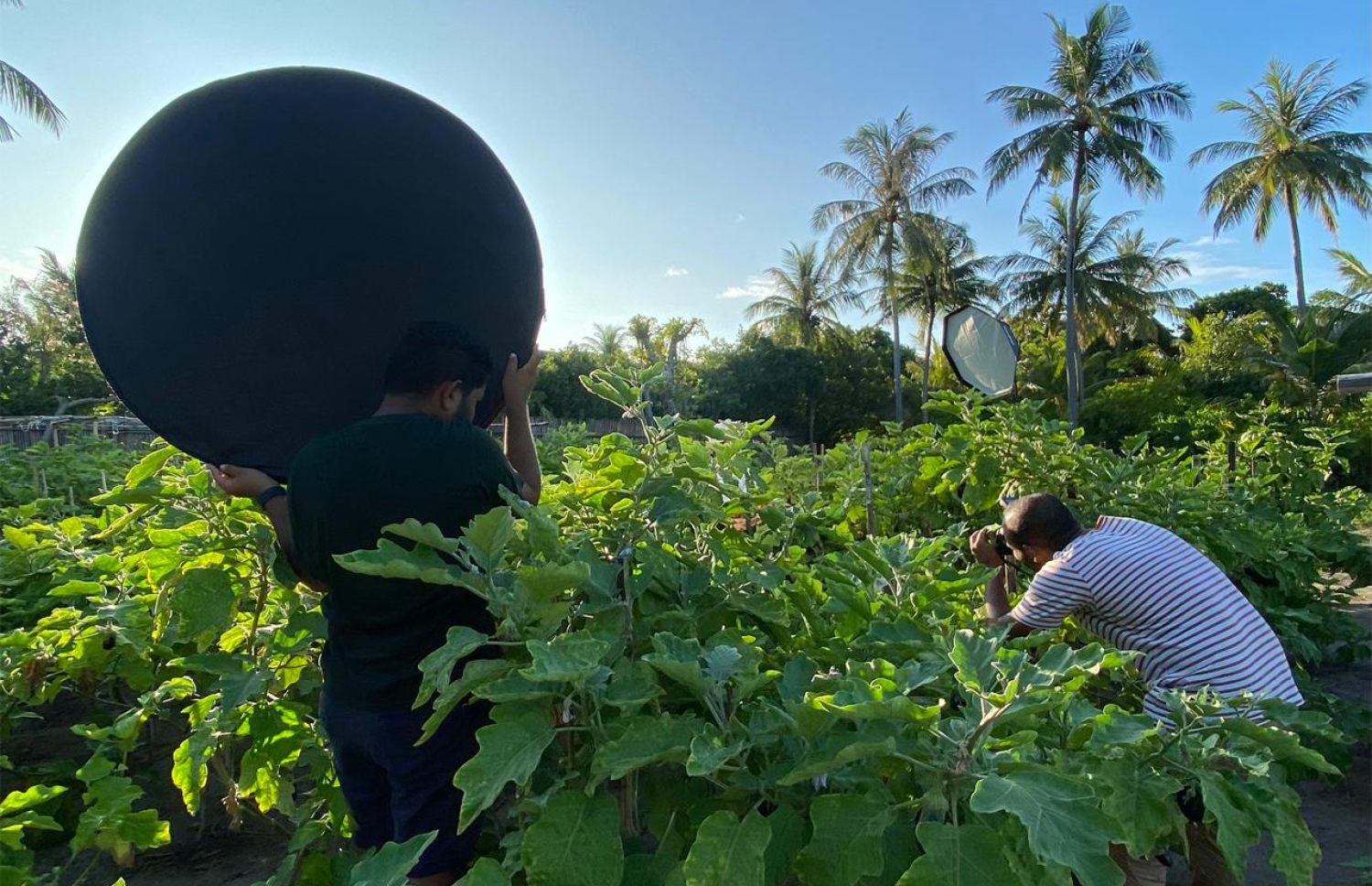 އައްސަދު، ރަށެއްގެ ފޮޓޯ ނަގަނީ