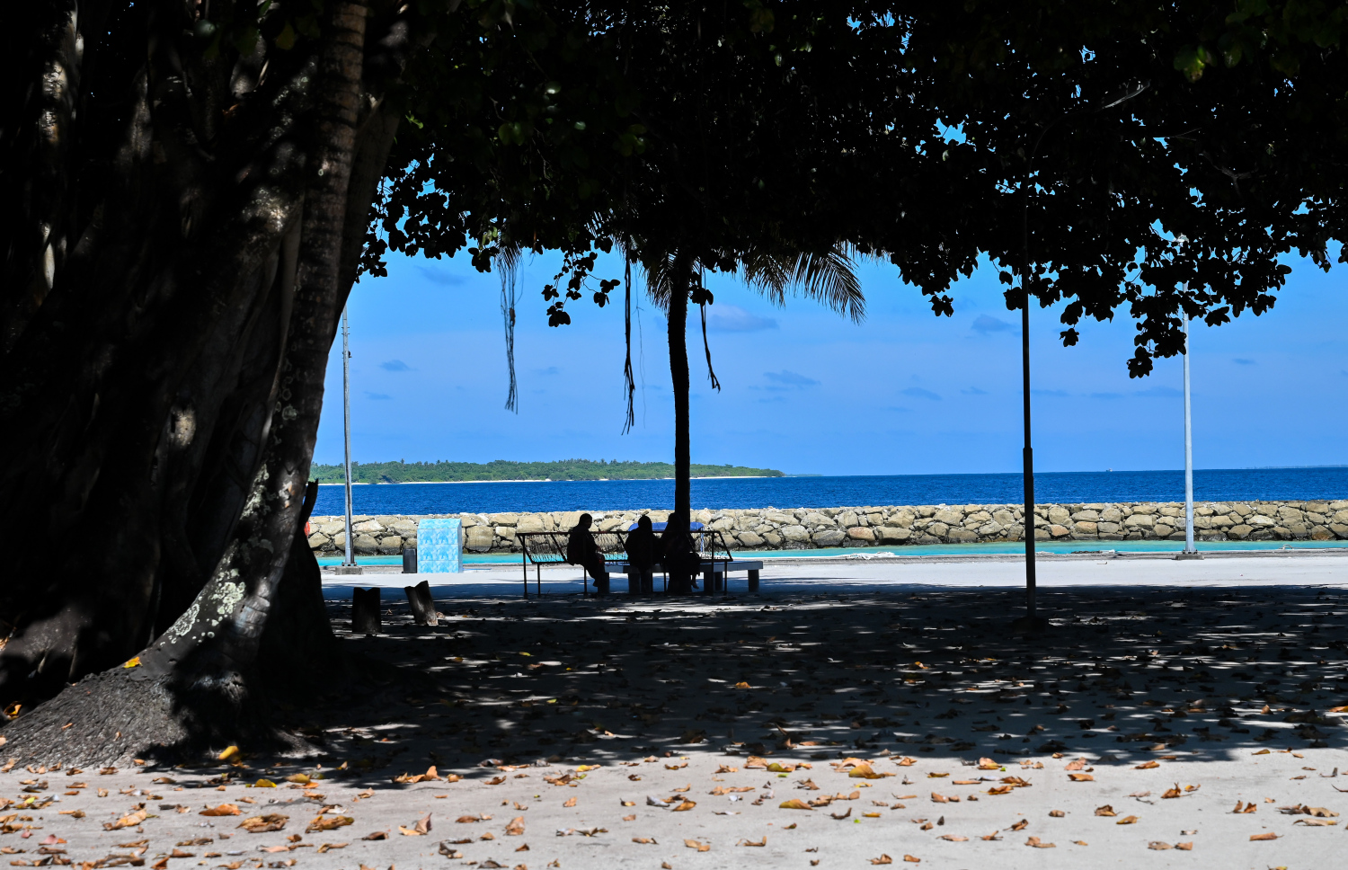 ހިރިމަރަދޫ ބަނދަރުމަތީ ހުރި ޖޯއްޔެއްގައި ބަޔަކު އިށީނދެލައިގެން-- ފޮޓޯ: ފަޔާޒު މޫސާ | މިހާރު