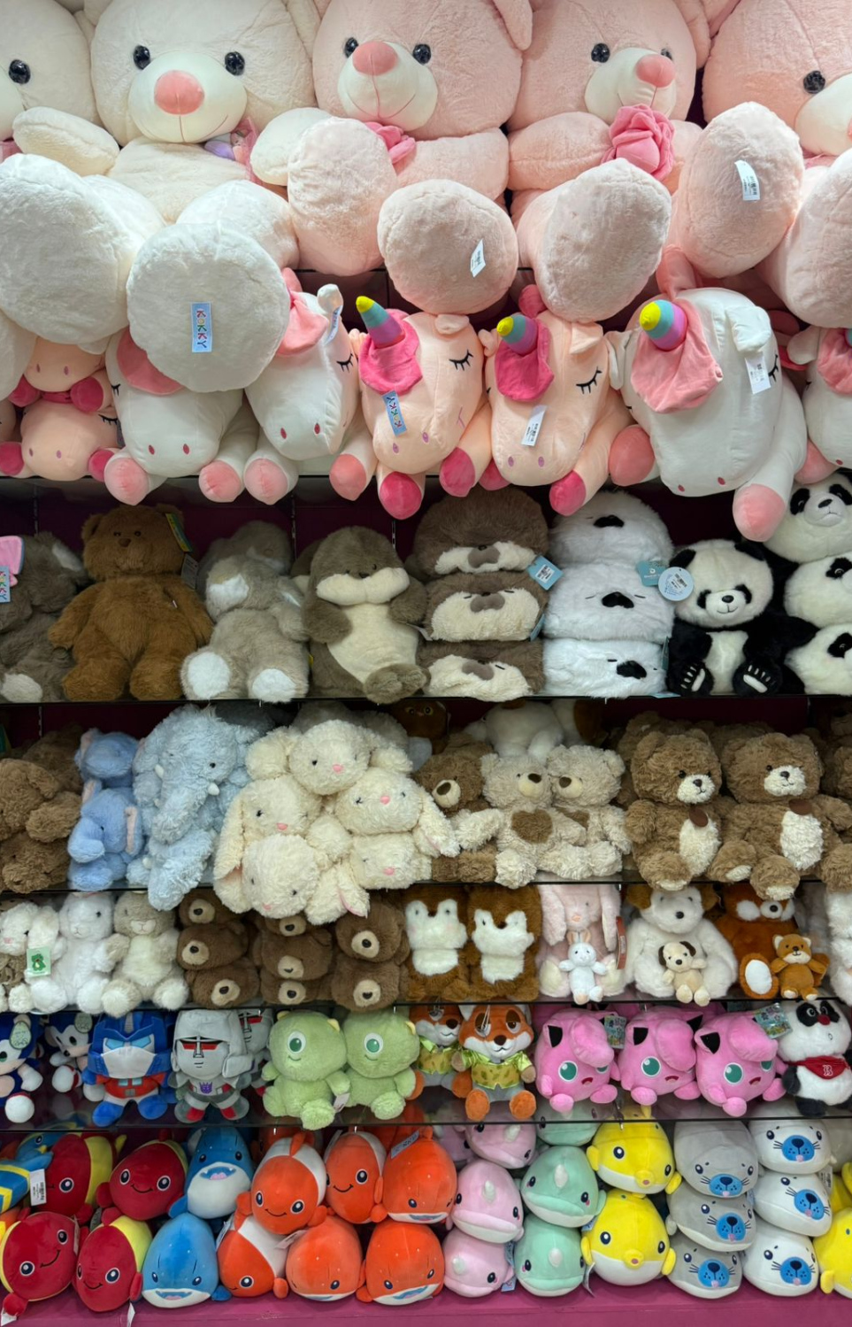 ކޮކީ ފިހާރައިގައި ވިއްކާ ސޮފްޓް ޓޯއިސްތަކެއް.