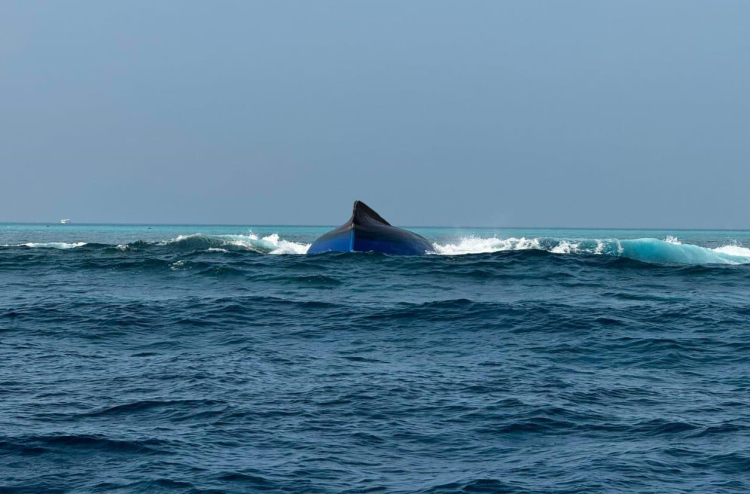 Boat eh bandunjahaalai 2 meehaku gellijje