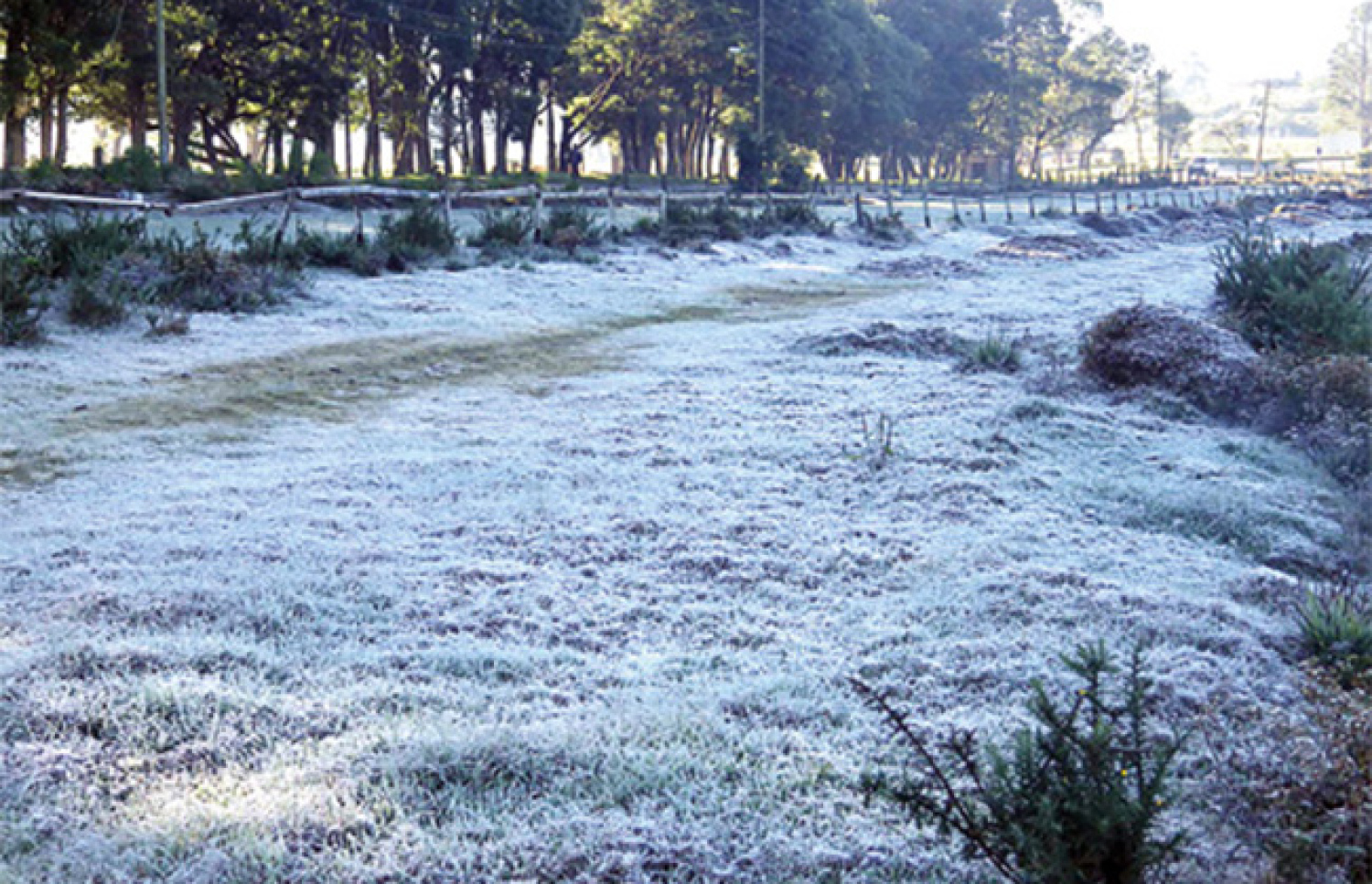 ސްރީ ލަންކާގެ ނުވަރަ އެލިޔާއަށް ފިނިހޫނުމިން ދަށްވެ ގަނޑު ފެނުގެ އަސަރުކޮށްފައި. -- ފޮޓޯ: އަޑަ ޑެރަނަ