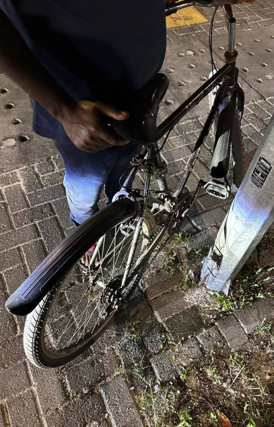 އައްޑޫން ވަގަށް ނަގާފައި ވަނިކޮށް ފެނު ބައިސްކަލެއް