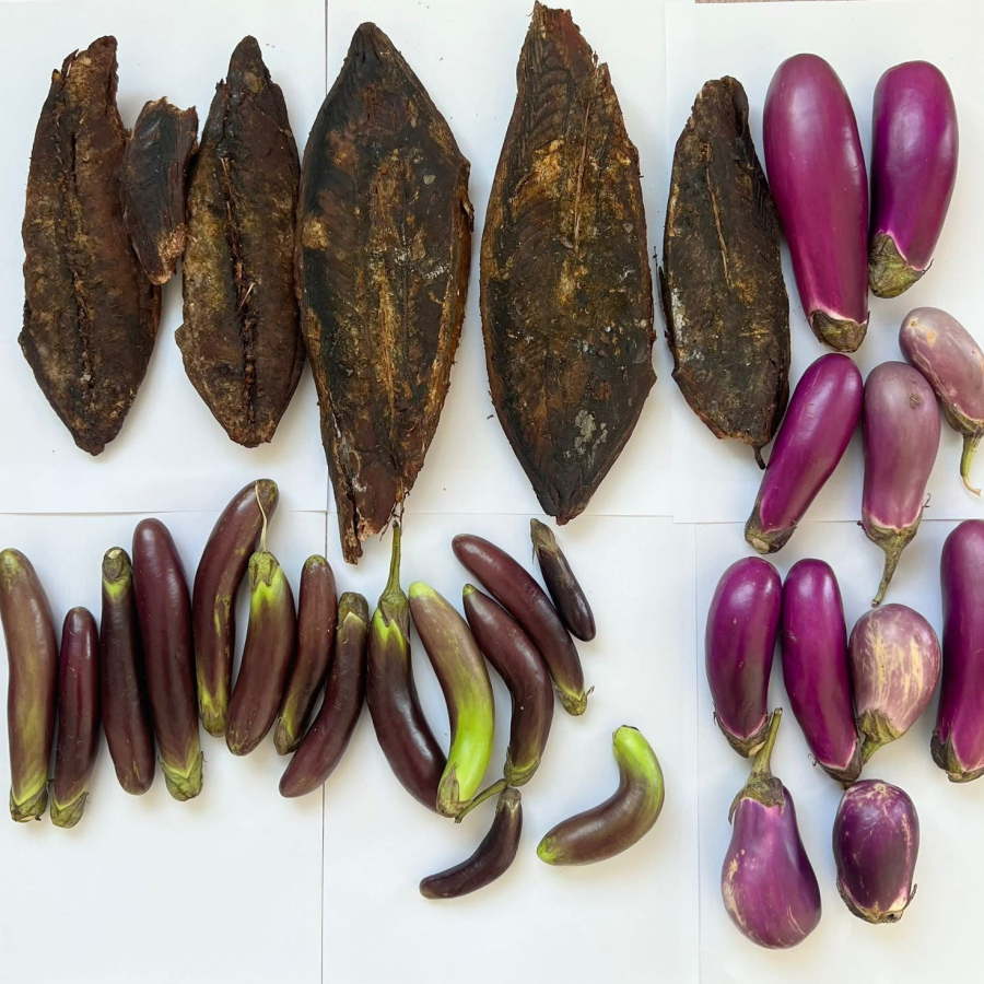 އައްޑޫން ވަގަށް ނަގާފައި ވަނިކޮށް ފެނުނު ވަޅޯމަހާއި ބަށިތައް