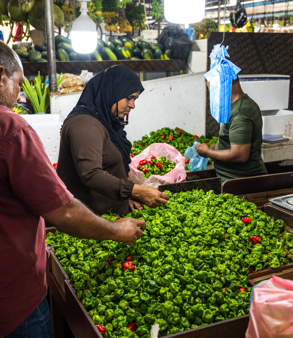 ލޯކަލް މާރުކޭޓުގެ ގޮޅިއަކުން ބަޔަކު މިރުސް ގަންނަނީ. ރޯދަ މަހު ޑިމާންޑް ބޮޑުވާ މިރުހުގެ އަގު މިއަދު އުޅެނީ 100 ގްރާމް 45ރ. އާއި 50ރ. އާ ދެމެދު.-- ފޮޓޯ: ނިޝާން އަލީ | މިހާރު