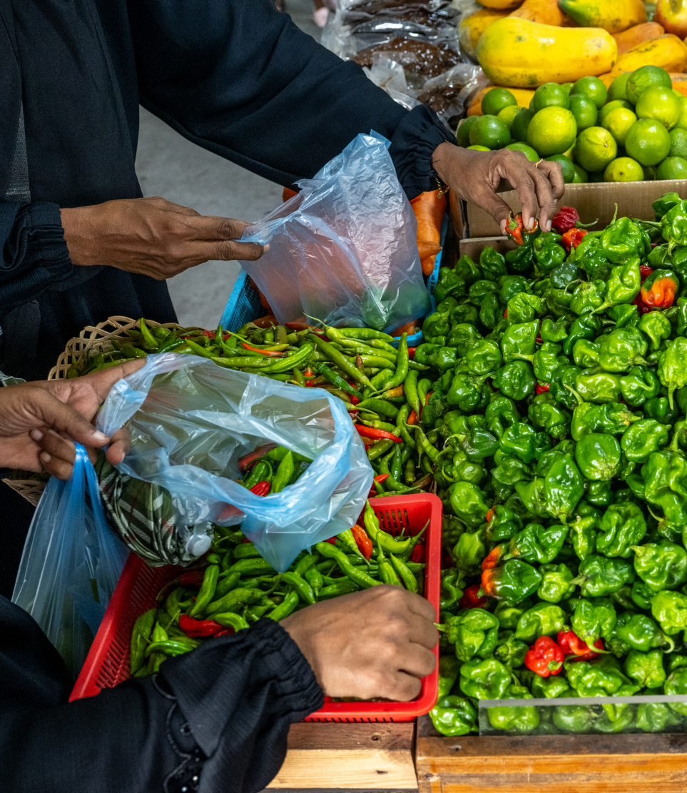 ލޯކަލް މާރުކޭޓުގެ ގޮޅިއަކުން ބަޔަކު މިރުސް ގަންނަނީ، މިރުހުގެ އަގު މިއަދު އުޅެނީ ސަތޭކަ ގްރާމް 45ރ އާއި 50ރ ދެމެދު.-- ފޮޓޯ: ނިޝާން އަލީ | މިހާރު