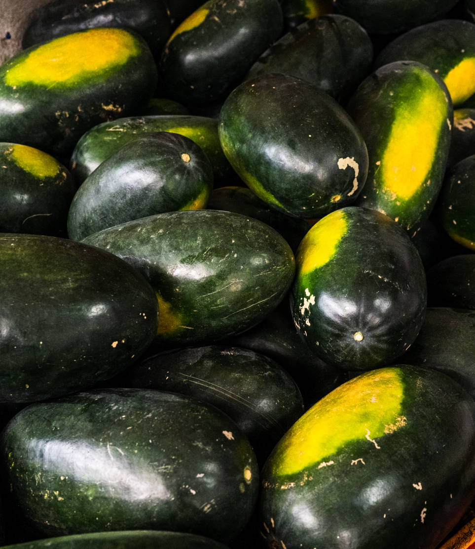 މާރުކޭޓުގައި ވިއްކަން ބަހައްޓާފައި ހުރި ކަރާތަކެއް. ކަރާ ކިލޯއެއްގެ އަގު އުޅެނީ 20ރ އާއި 30ރ ދެމެދުގެ އަގުތަކެއްގައި.-- ފޮޓޯ: ނިޝާން އަލީ މިހާރު