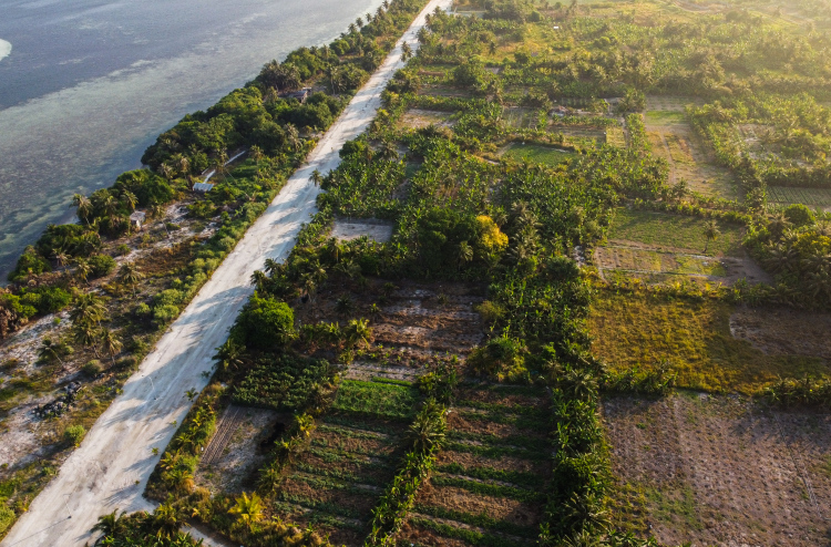 Kaashidhoo Allocates One Hectare of Land for Five Million Tree Programme