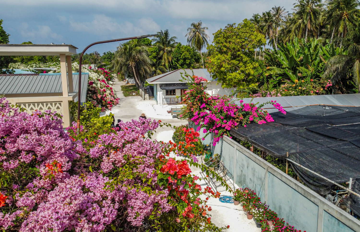 ކާށިދޫ: މި ރަށުގެ ބައެއް މީހުންގެ ރެސިޕީތައް ވެސް މިހާރު ބަދިގެއިން ފެންނާނެ.