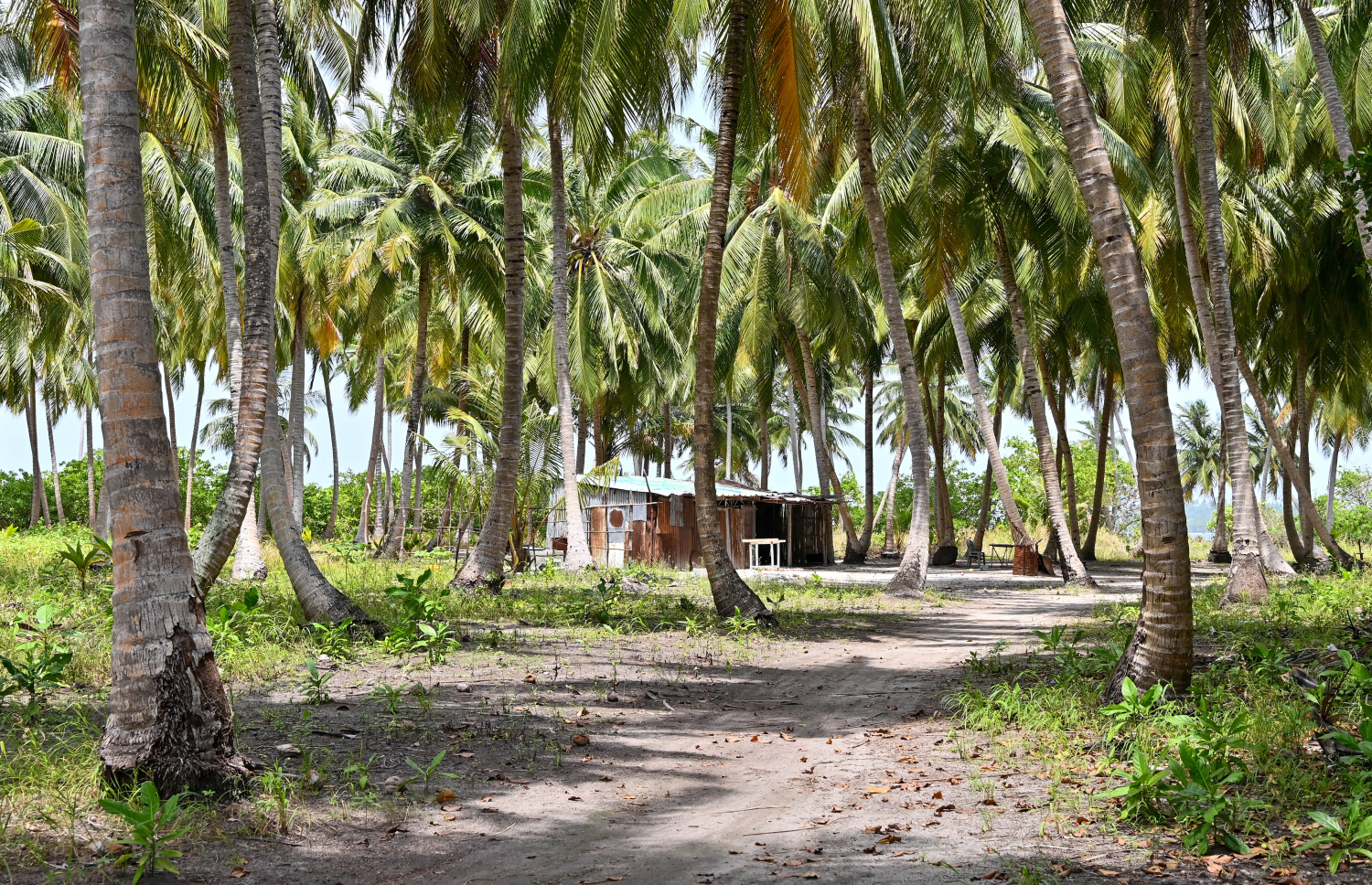 މާބައިދޫ ކޯރުގެ ކައިރީ އޮންނަ މަގެއް. ފޮޓޯ: ފަޔާޒް މޫސާ/މިހާރު