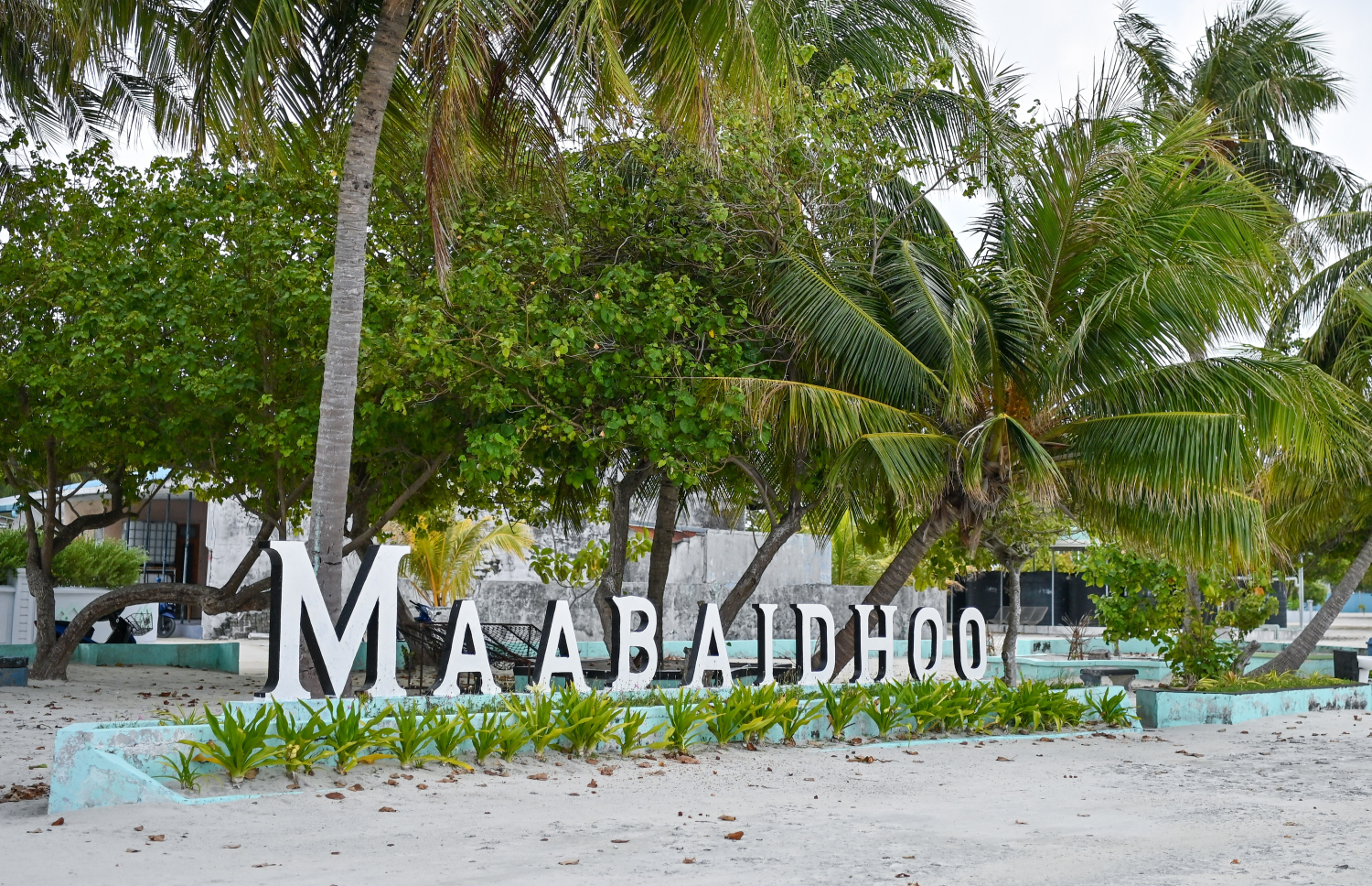 މާބައިދޫ ބަނދަރު މަތި.-- ފޮޓޯ: ފަޔާޒު މޫސާ/ މިހާރު