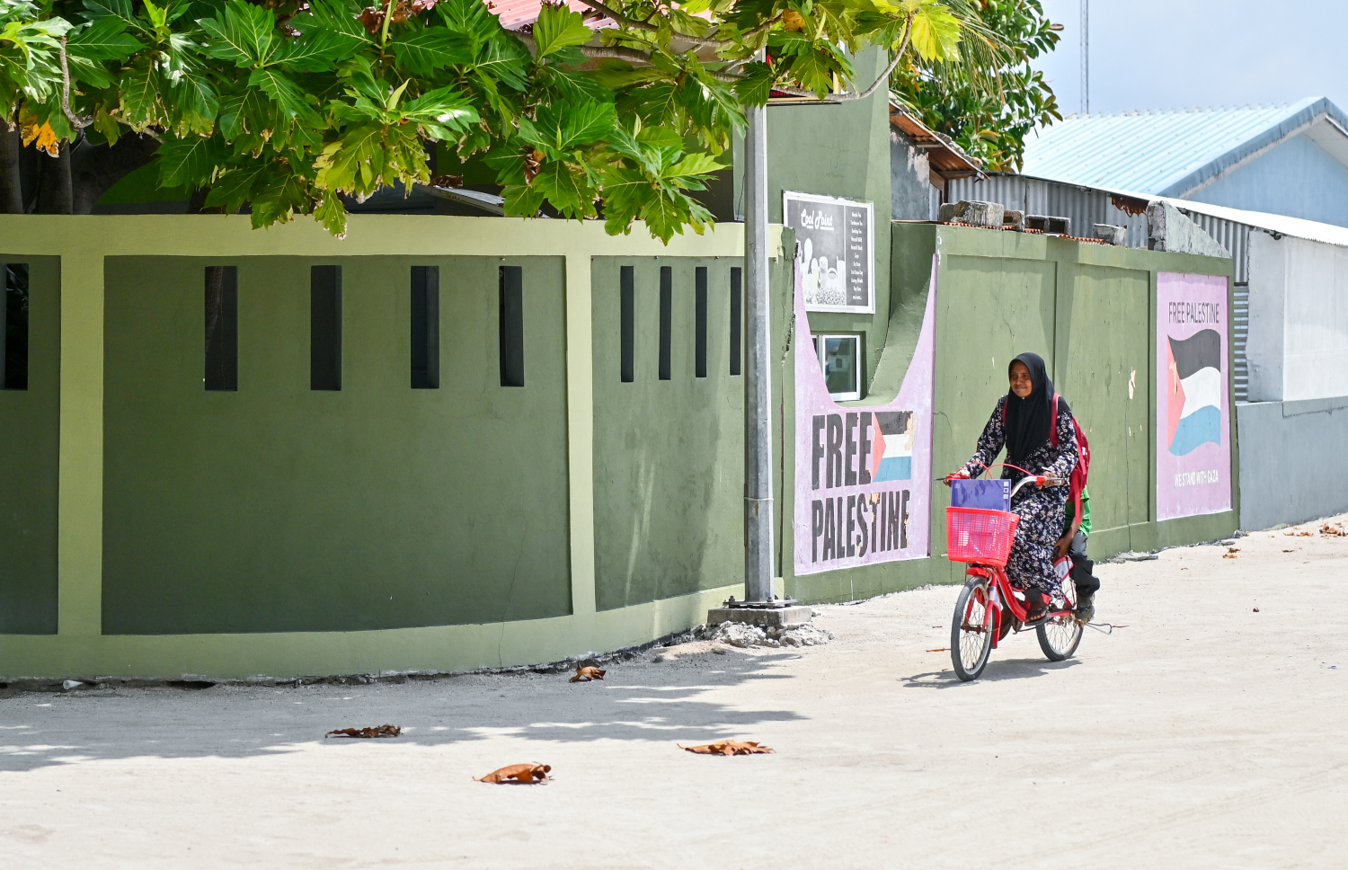 މާބައިދޫގެ އަންހެނަކު، ބައިސްކަލު ދުއްވާފައި ދަނީ.-- ފޮޓޯ: ފަޔާޒު މޫސާ/ މިހާރު