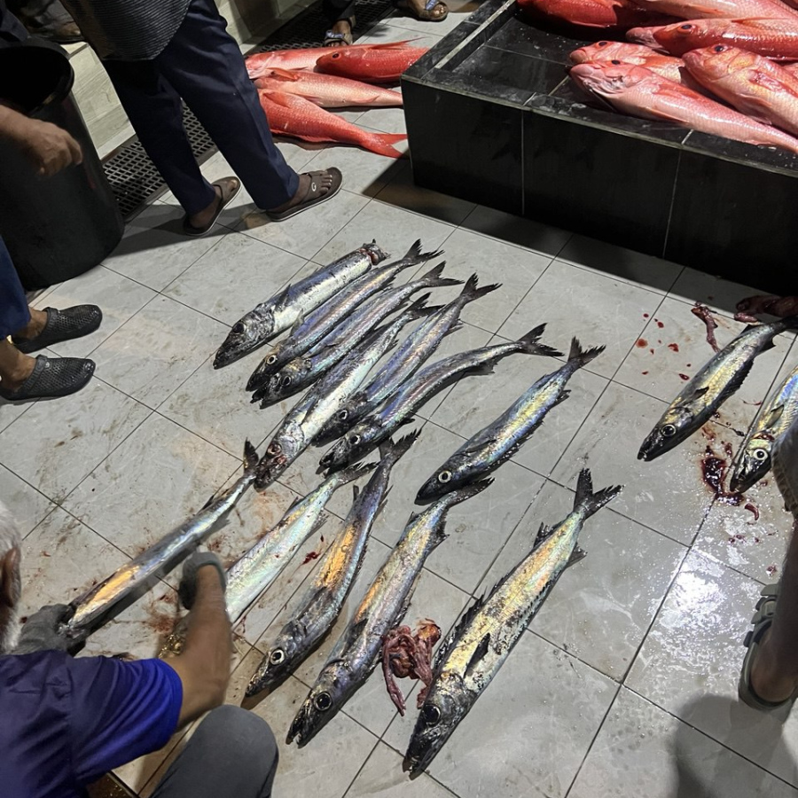 ފުވައްމުލަކު މަސްމާރުކޭޓުގައި ކައްޓެޅި ވިއްކަން އަތުރާފައި: ބައެއް ދުވަސްދުވަހު ވަރަށް އަގުބޮޑުކޮށް ވެސް މި މަސް ވިއްކާ.-- ފޮޓޯ: މިހާރު