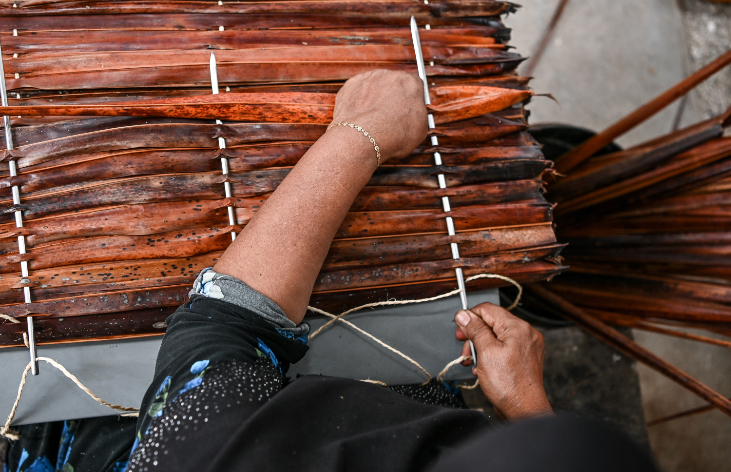 ހަދީޖާ އިބްރާހީމް ފަންގިވިންނަނީ. ފޮޓޯ: ފަޔާޒު މޫސާ| މިހާރު