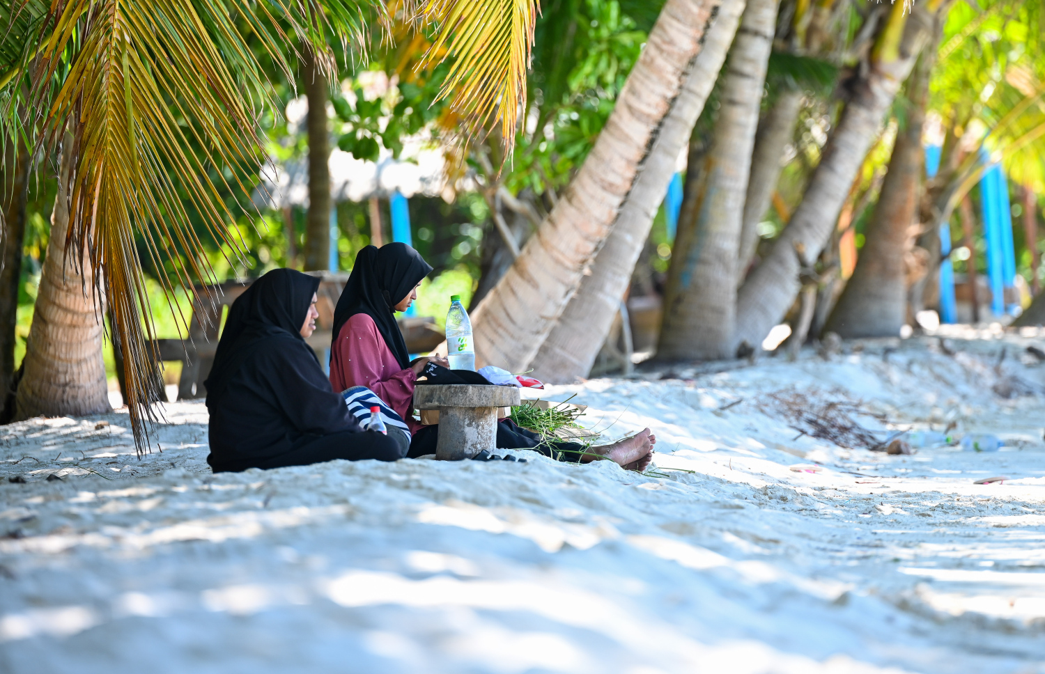 ހދ. ނޮޅިވަރަންފަރު: މި ރަށަކާއި ގުދުރަތީ ރީތިކަމެއް ލިބިފައިވާ ބިން ބޮޑު ރަށެއް - ފޮޓޯ: ފަޔާޒު މޫސާ | މިހާރު