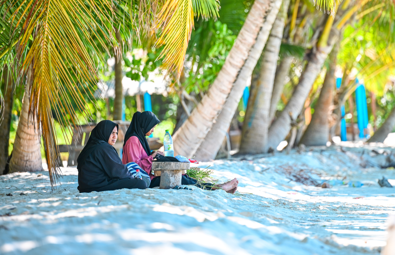 ކުދިންތަކެއް މޫދަށް އެރޭ އިރު ބެލެނިވެރިން ދޮންވެލި ބީޗުގައި އެ މަންޒަރު ބަލަން މަޑުކޮށްލައިގެން. މި ތަނަށް މޫދަށް އެރިލައި މަޖާކޮށްލަން އައިސް އުޅޭ ކޮންމެ މީހަކަށް ވެސް މިއީ ވަރަށް އުފާވެރި މާހައުލެއް -- ފޮޓޯ: ފަަޔާޒު މޫސާ | މިހާރު