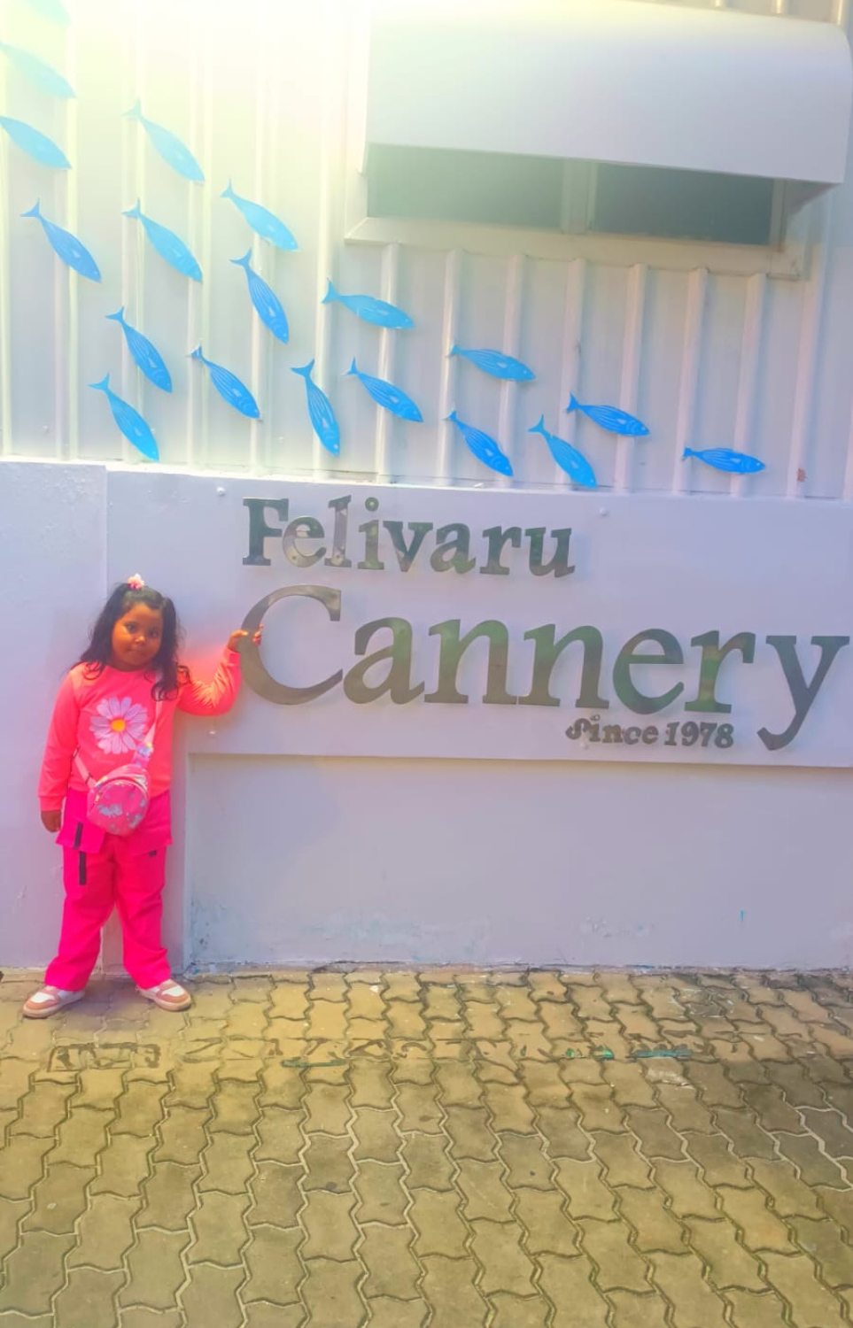 ފެލިވަރު ކޭނަރީ ކައިރީގައި މޫސަގެ ދަރިފުޅު މަޑުކޮށްލައިގެން.