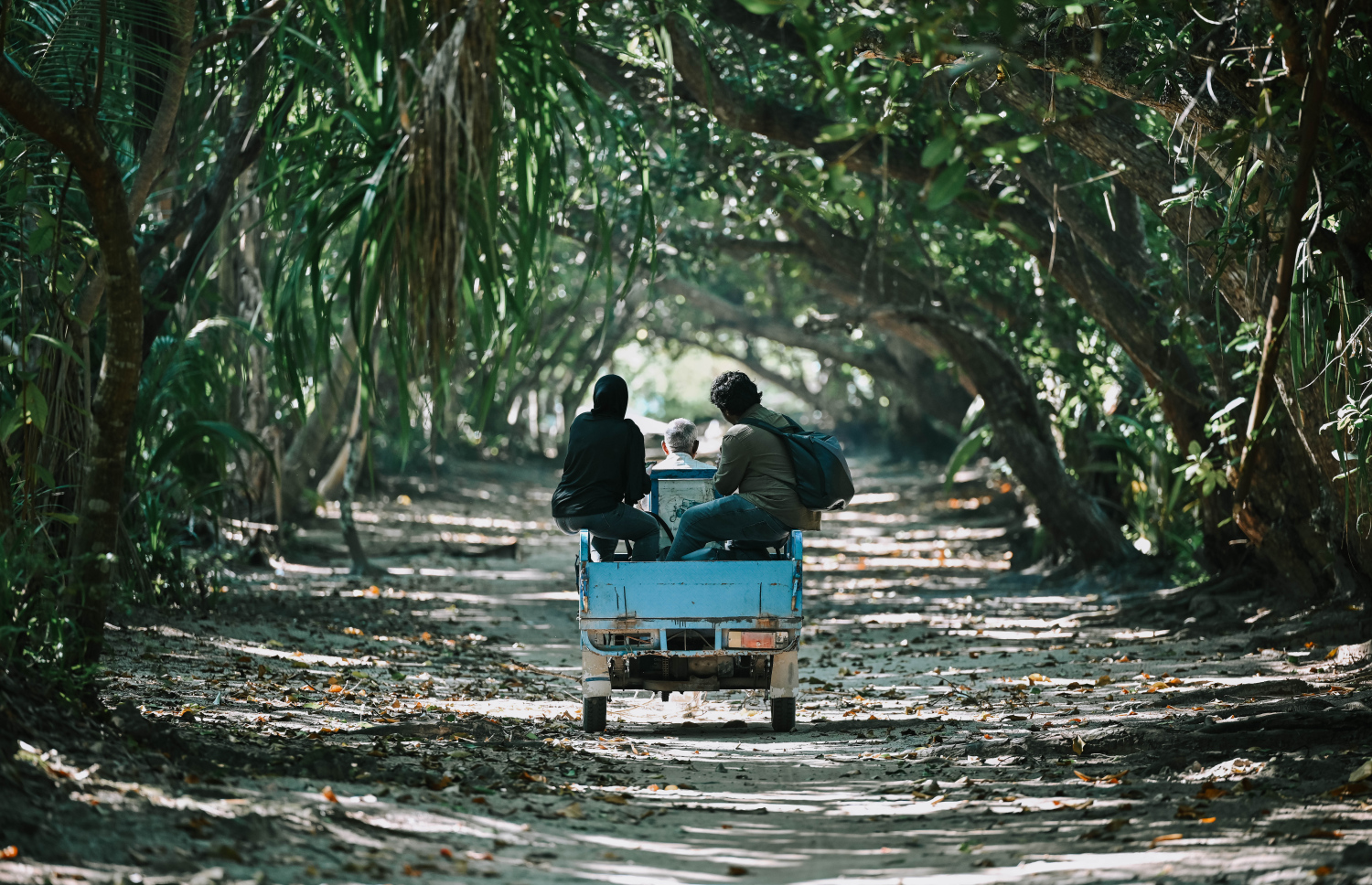 ހދ. ފިނޭ: މި ރަށުގައި ހުރި ފަގީރުކޮއެގެ ޒިޔާރާތަކީ އުތުރުގައި މަޝްހޫރު ތަނެއް - ފޮޓޯ: ފަޔާޒު މޫސާ | މިހާރު