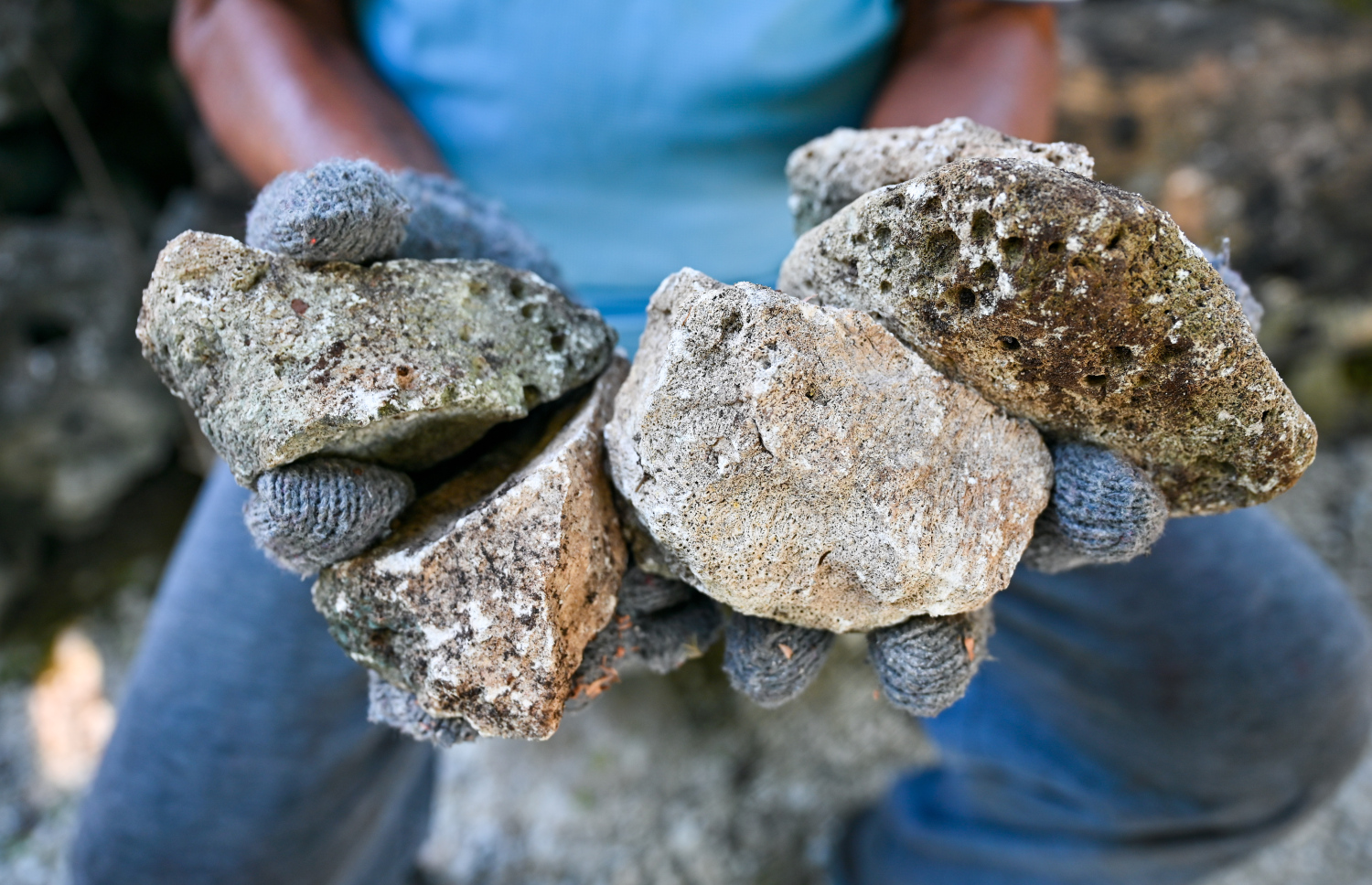 އުވަ ދަވަން ބޭނުން ކުރާ ގާ ދައްކާލަނީ: ނޮޅިވަރަމްގައި މި މަސައްކަތް ނުހުއްޓި އެބަ ކުރިއަށްދޭ - ފޮޓޯ: ފަޔާޒު މޫސާ | މިހާރު