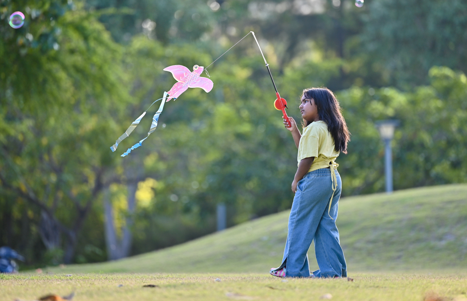 ކުޑަކުއްޖަކު ސެންޓްރަލް ޕާކުގައި މަޑި އަރުވަނީ: ރޯދަމަހު މަޑިއެރުވުމާއި އެކިއެކި ކުޅިވަރުތައް ކުޅުމާއި ސައިކަލް ބުރު ޖެހުމަކީ ދިވެހިން އާންމުކޮށް ކުރާ ކަމެއް. --- މިހާރު ފޮޓޯ/ފަޔާޒު މޫސާ