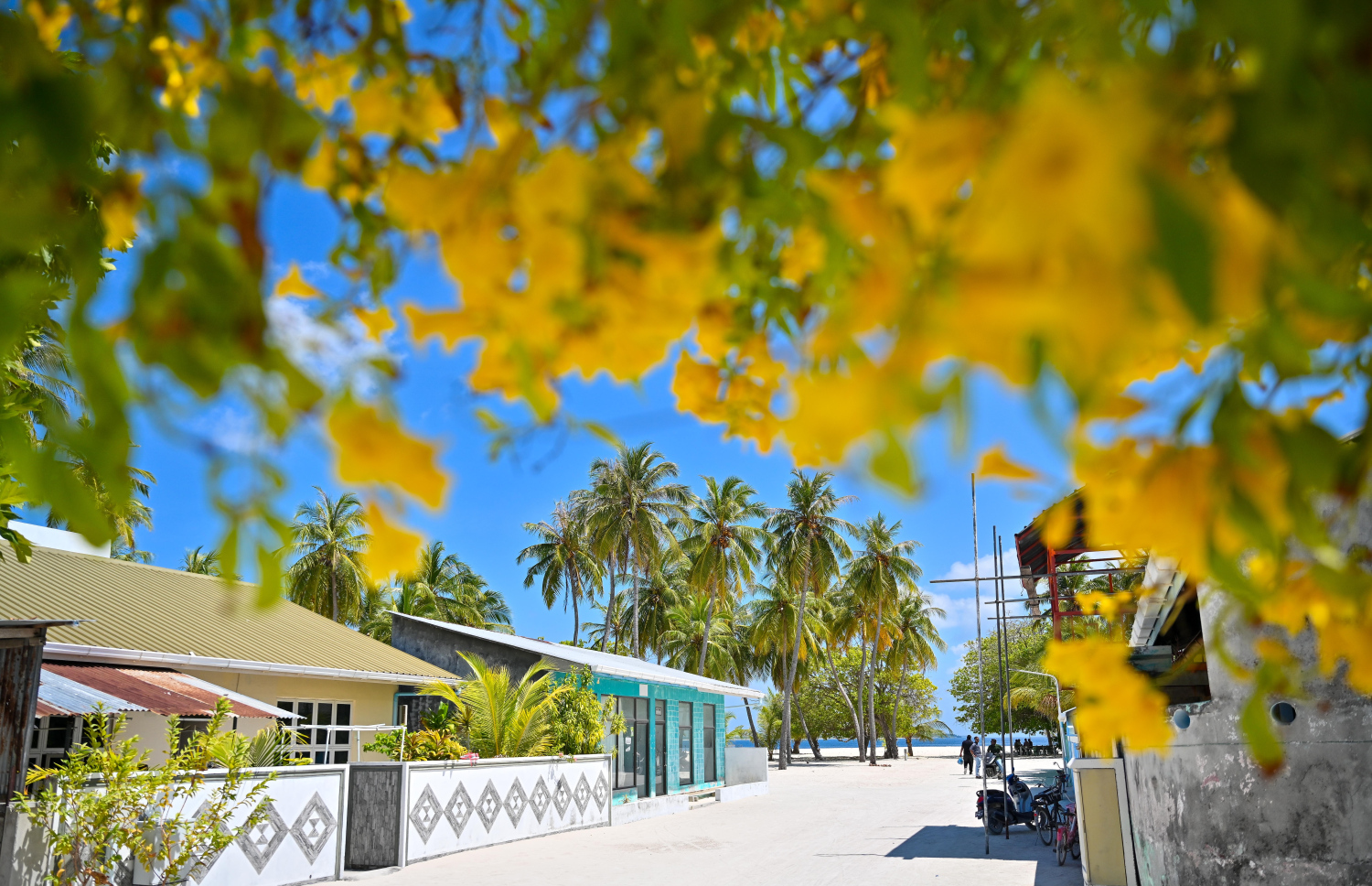 އުތީމު ބީޗަށް ނިކުމެވެން އޮންނަ ރުއްގަނޑުލީމަގު. އެ ރަށުގެ ސާފުތާހިރު ކަމަކީ ރައްޔިތުން ވަރަށް ބޮޑު ސަމާލު ކަމެއް ދޭ ކަމެއް --- މިހާރު ފޮޓޯ/ފަޔާޒު މޫސާ