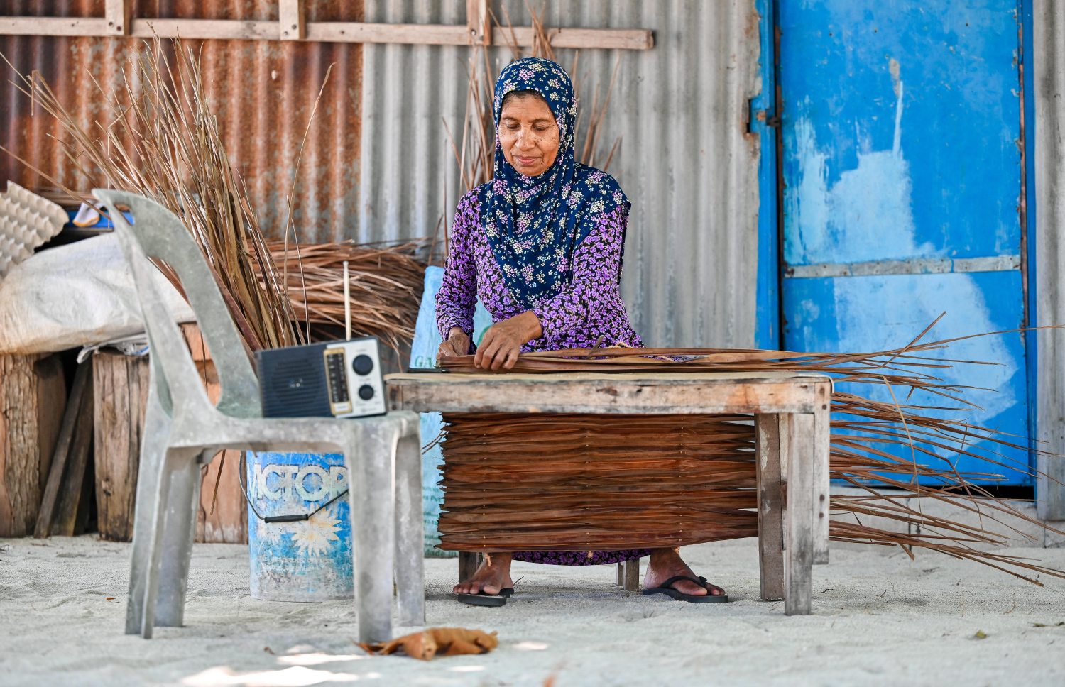 އުތީމު އަންހެނަކު ގޭ ގޯތި ތެރޭގައި ފަންގި ވިނަނީ: ޒަމާނުއްސުރެ އެރަށުގެ މީހުންނަކީ ފަންގިވިނާ ބައެއް --- މިހާރު ފޮޓޯ/ފަޔާޒު މޫސާ