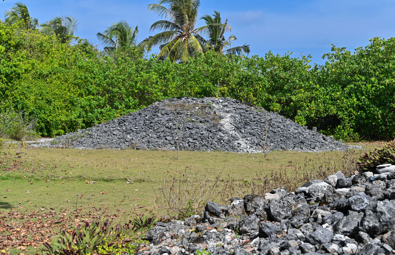 އިސްދޫ ހަވިއްތަ ސަރަހައްދުގައި ހުރި ގާފުންޏެއް. ފޮޓޯ: ފަޔާޒު މޫސާ| މިހާރު
