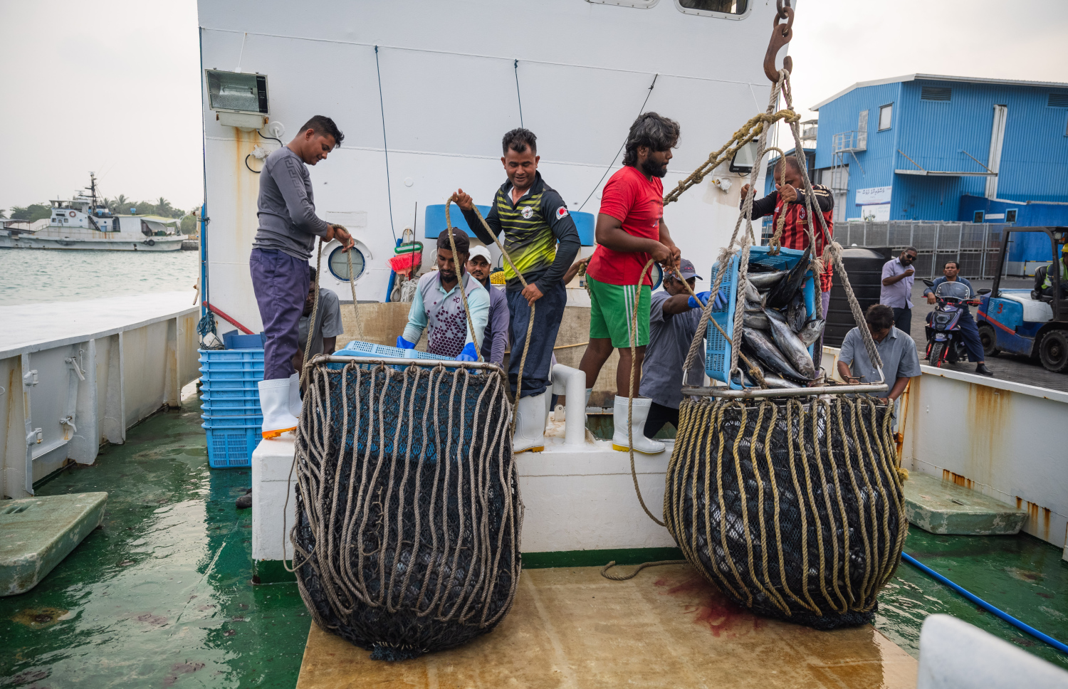 މަސްވެރިންތަކެއް މަސް ކިރަނީ: މަސްވެރިކަމަށް ދިވެހިން ނުނުކުންނަ މައްސަލަ މިހާރު ވަނީ ގައުމީ ބޮޑު މައްސަލައަކަށް ވެފައި.