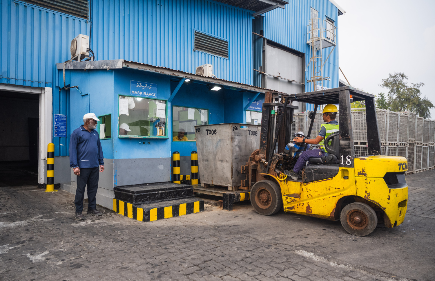 ފެލިވަރު ކޯލްޑްސްޓޯރޭޖަށް ގެންދިޔަ މަސްތަކެއް ކިރާ ގޮތް ހާދީބެ ބަލަނީ.---ފޮޓޯ: ނިޝާން އަލީ| މިހާރު