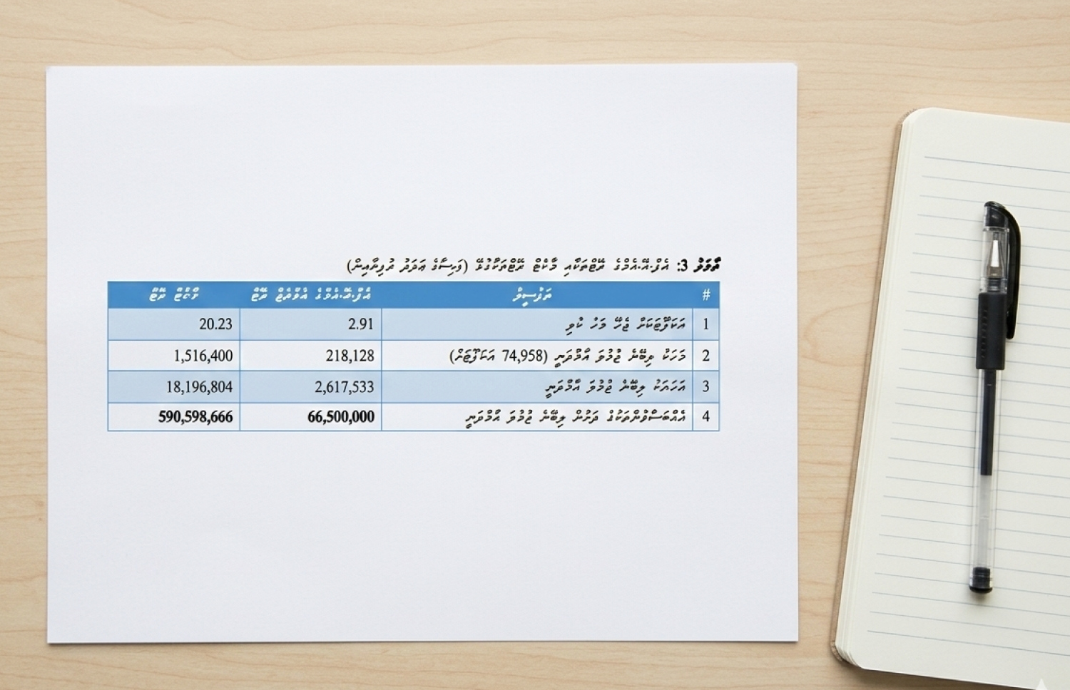 އޮޑިޓަ ޖެނެރަލް ނިޔާޒީގެ ރިޕޯޓުގައި ފާހަގަކޮށްފައިވާ ބައެއް ހިސާޞުތައް