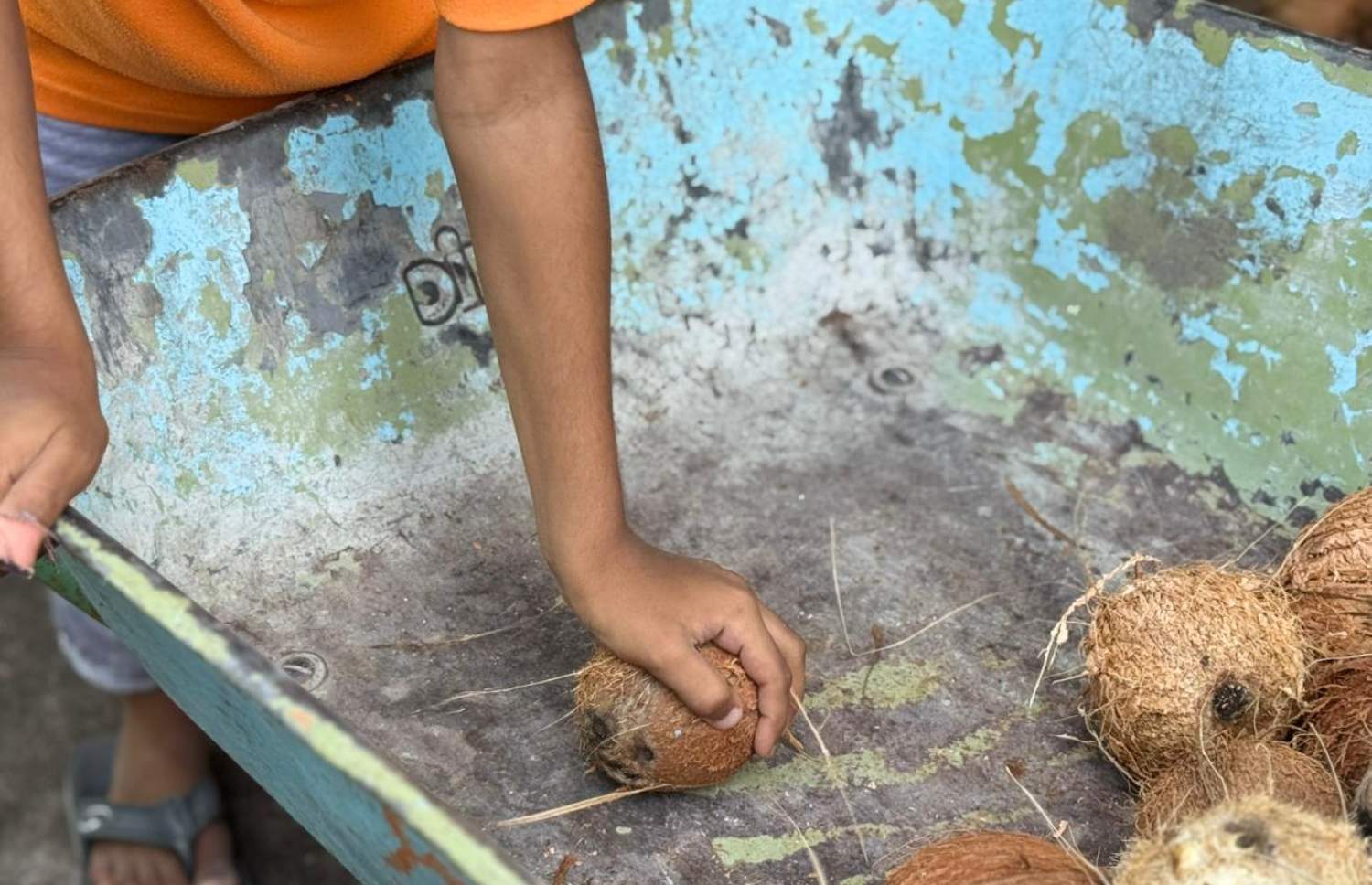 ސައިފް އޭނަގެ މަންމައާއެކު ކާށި ހެހުމުގައި.-- ފޮޓޯ: މިހާރު