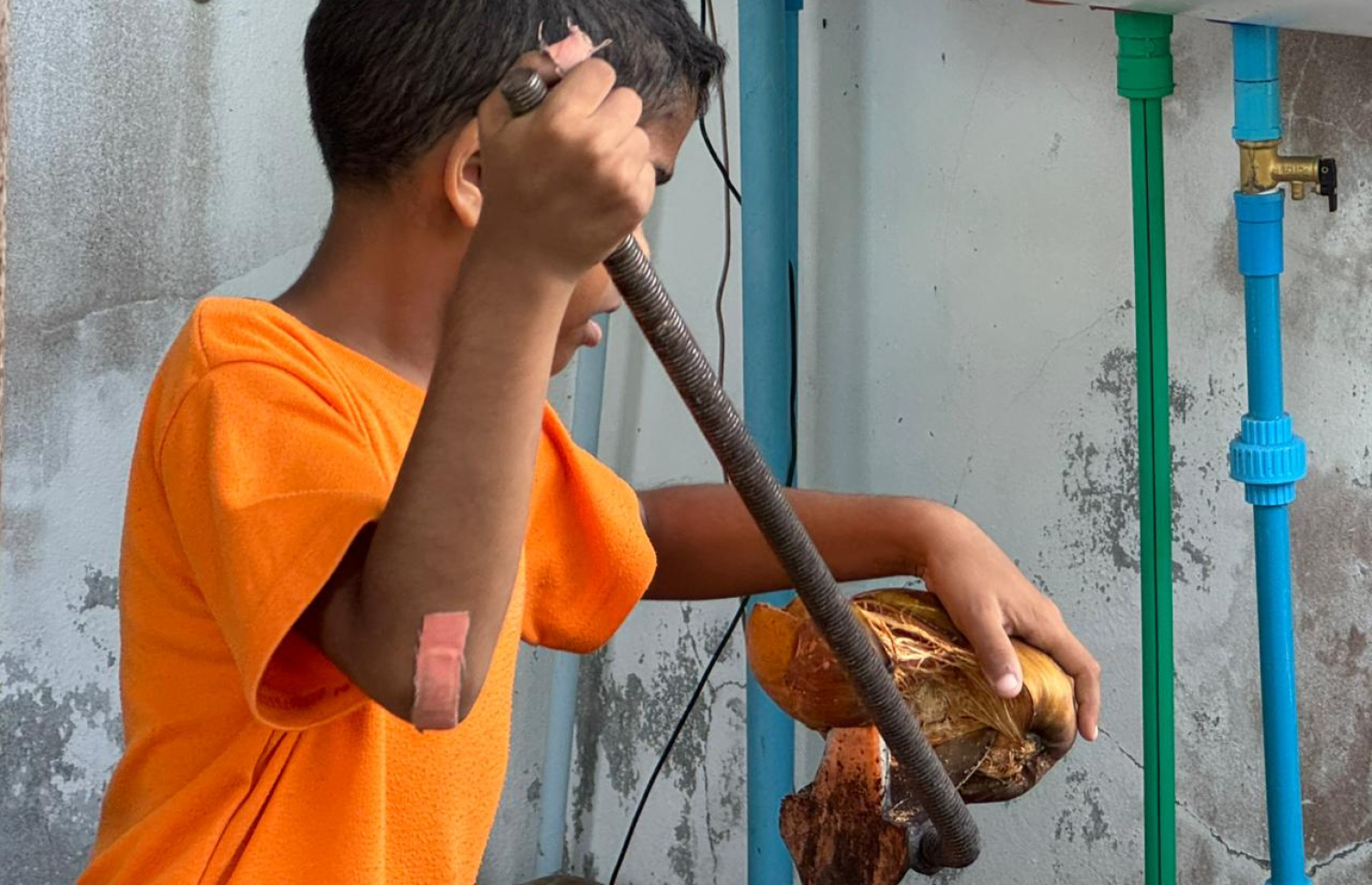 ސައިފް ކާށި ހެހެނީ.-- ފޮޓޯ: މިހާރު