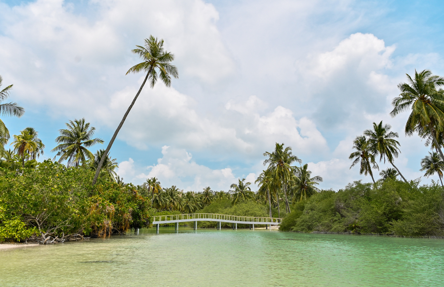 މާބައިދޫ ކޯރު، މިއީ މިރަށުގެ އެންމެ ރީތި ސަރަހައްދު. ފޮޓޯ: ފަޔާޒް މޫސާ/މިހާރު