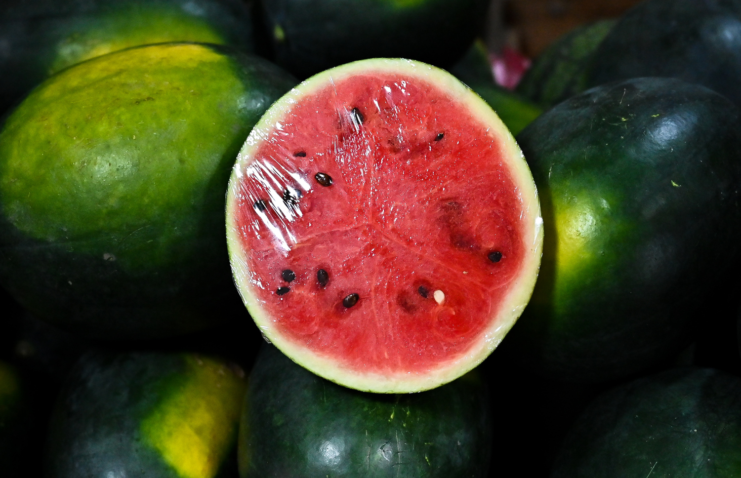 ލޯކަލް މާރުކޭޓުގައި ވިއްކަން ބަހައްޓާފައި ހުރި ކަރާތަކެއްގެ ތެރެއިން ކަރައެއް: ރޯދަ މަހު ޑިމާންޑް އެންމެ ބޮޑުވާ ކަރާ ކިލޯއެއް އުޅެނީ 25ރ. އަށް. ---ފޮޓޯ: ފަޔާޒު މޫސާ | މިހާރު