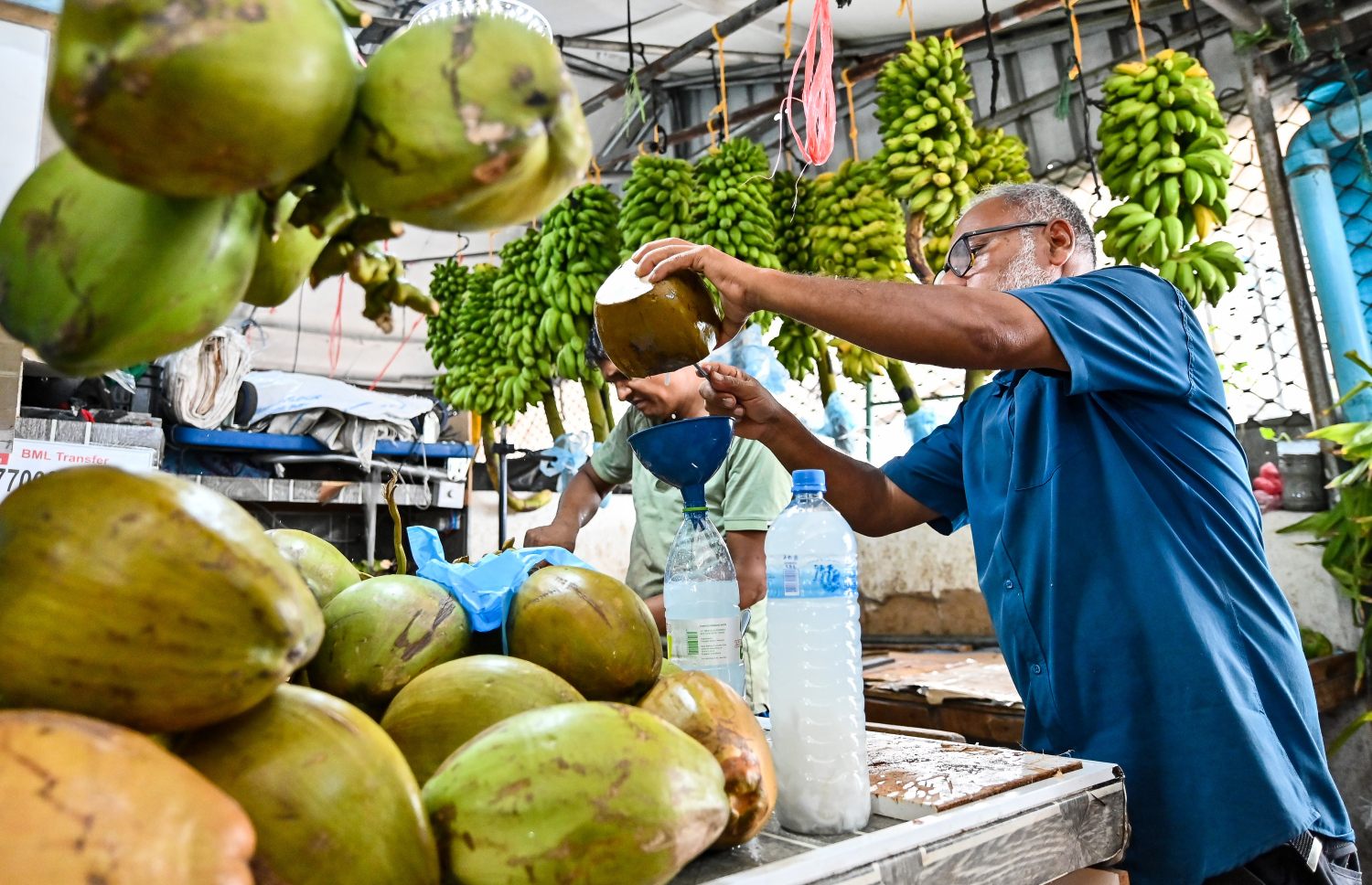 ލޯކަލް މާރުކޭޓުގެ ގޮޅިއެއްގައި މީހަކު ކުރުނބާ ފުޅިއަކަށް އަޅަނީ: ރޯދަމަހު ދިވެހިންގެ ތެރޭގައި އަބަދުވެސް އެންމެ މަގުބޫލު ކުރުނބާ 1.5 ލީޓަރު ފުޅިއެއް ލިބެންހުރީ 150ރ. އަށް އަދި ވަކިން ކުރުނބާ ލިބެން ހުުރީ 50ރ. އަދި 60ރ. އަށް -- ފޮޓޯ: ފަޔާޒު މޫސާ | މިހާރު